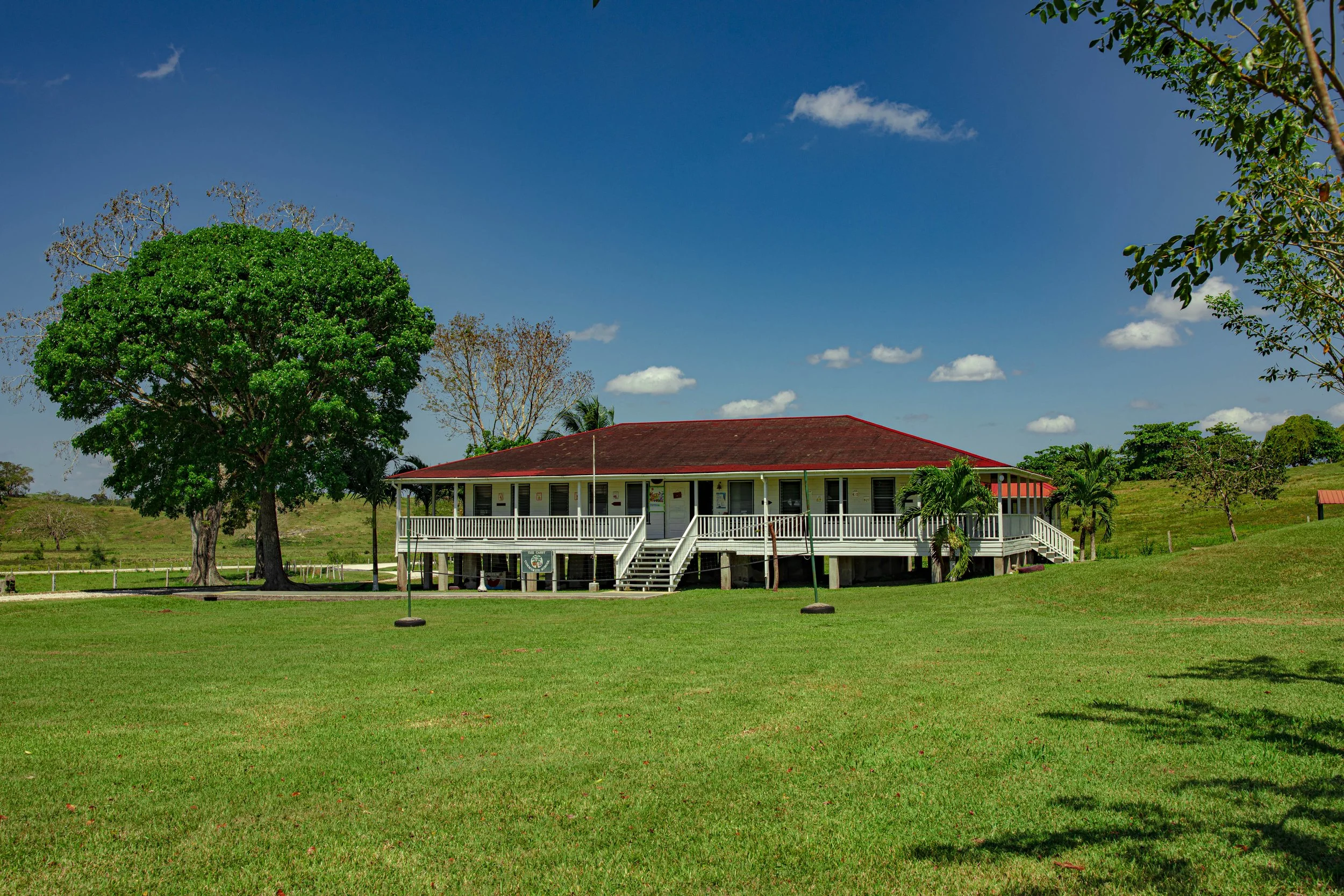 A large leafy tree in front of a red-roofed building on stilts with a wide porch, on a green lawn under blue sky