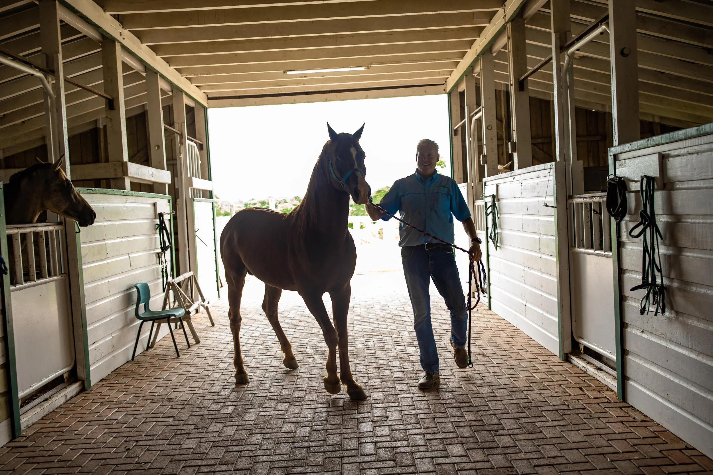 A man holding a lead rope walks a brown horse inside a stable with white walls and a wooden roof, while another horse looks out from its stall on the left. Bright sunlight is visible outside the stable.