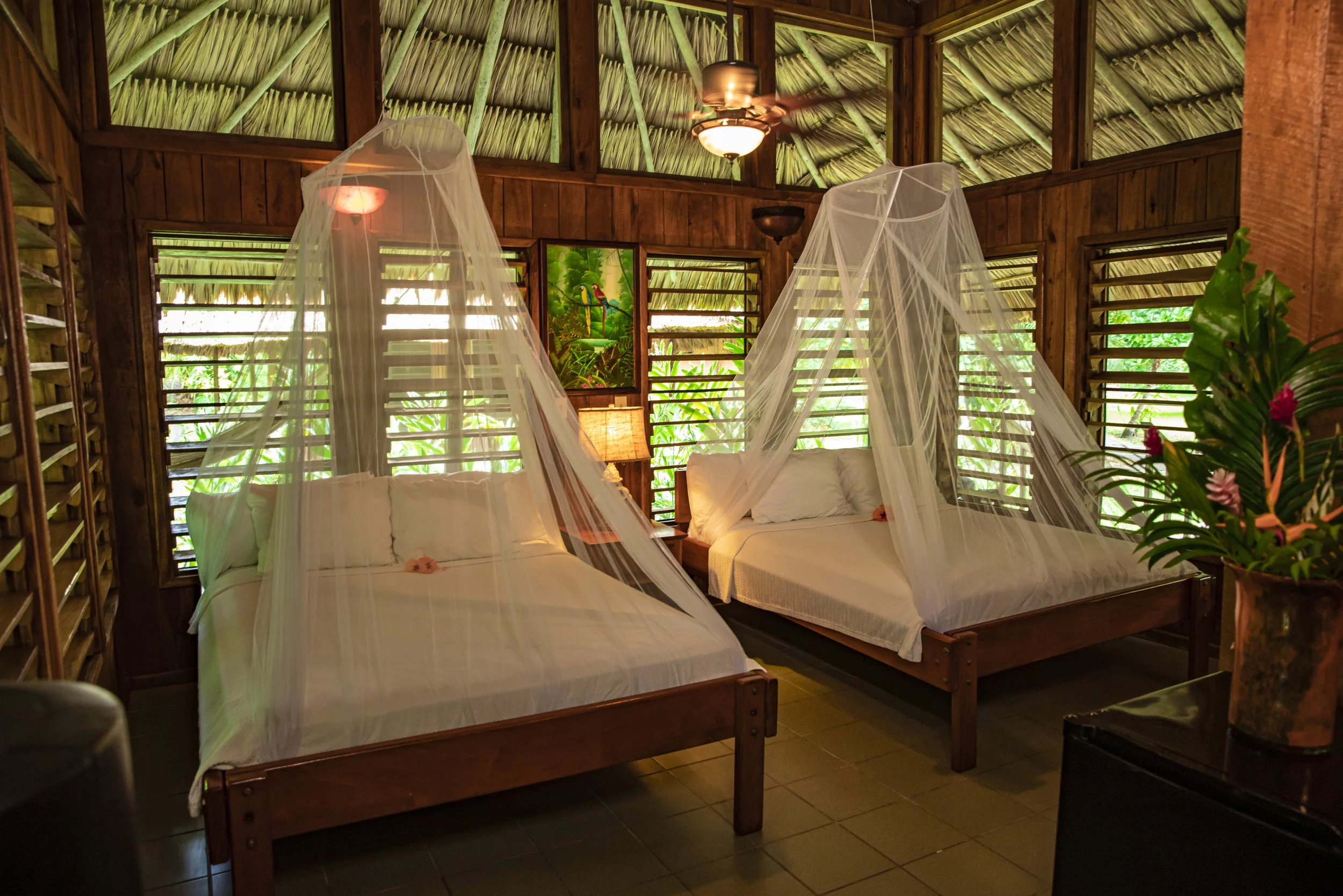 Two beds with mosquito nettings in a wooden cabin with a thatched roof, surrounded by lush green foliage visible through open windows, and a small painting of parrots on the wall.