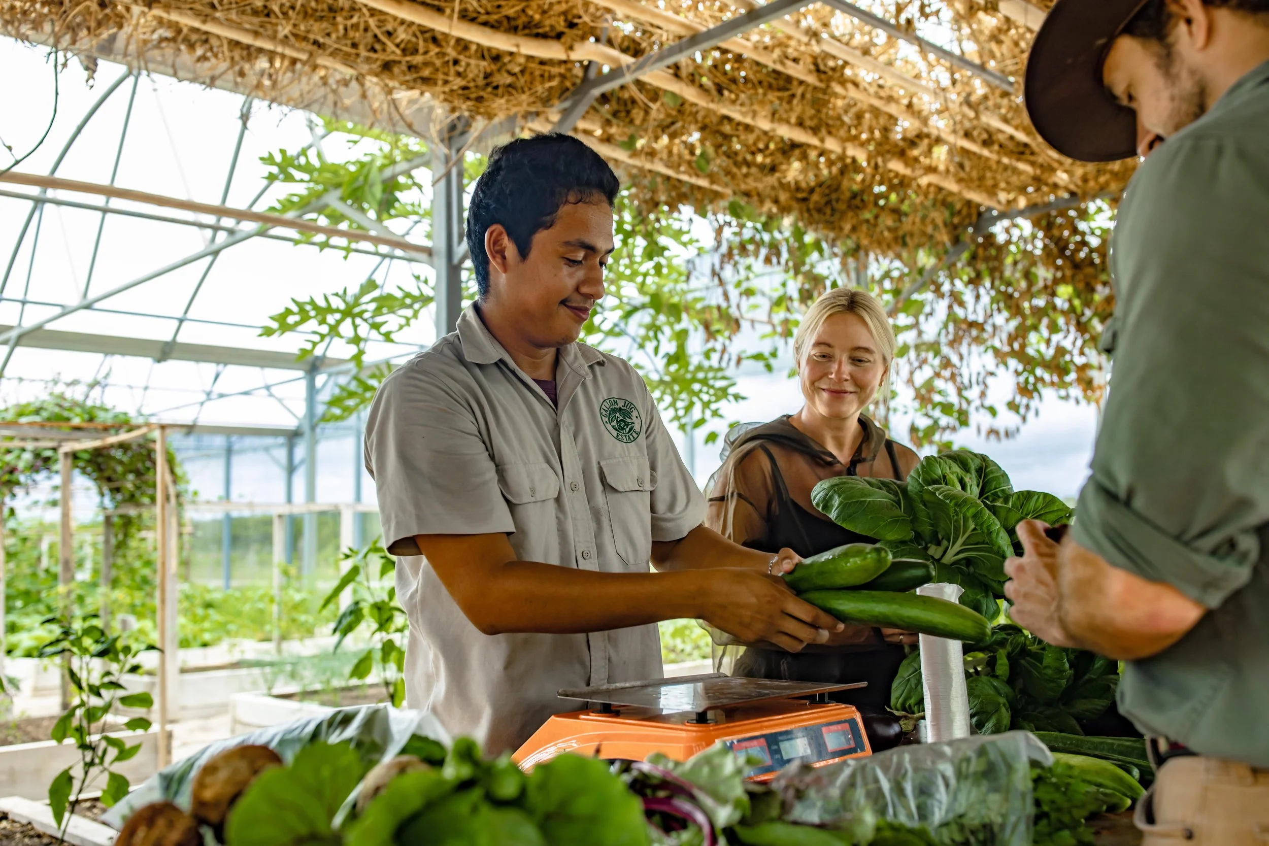 A staff member and two guests handling freshly picked greens in a greenhouse