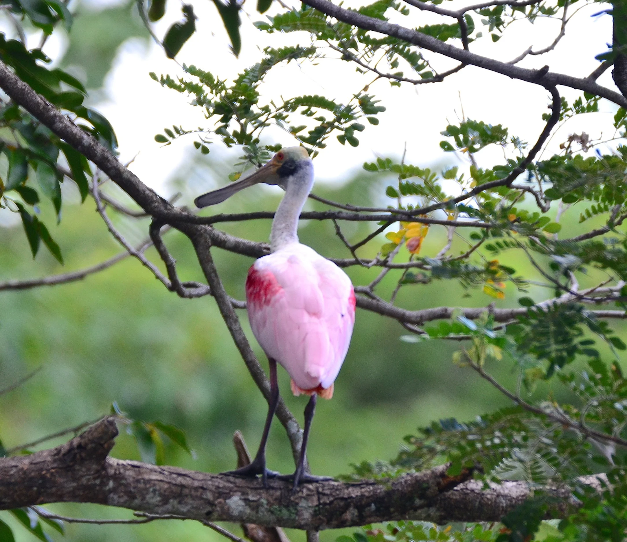DSC_0157.JPG