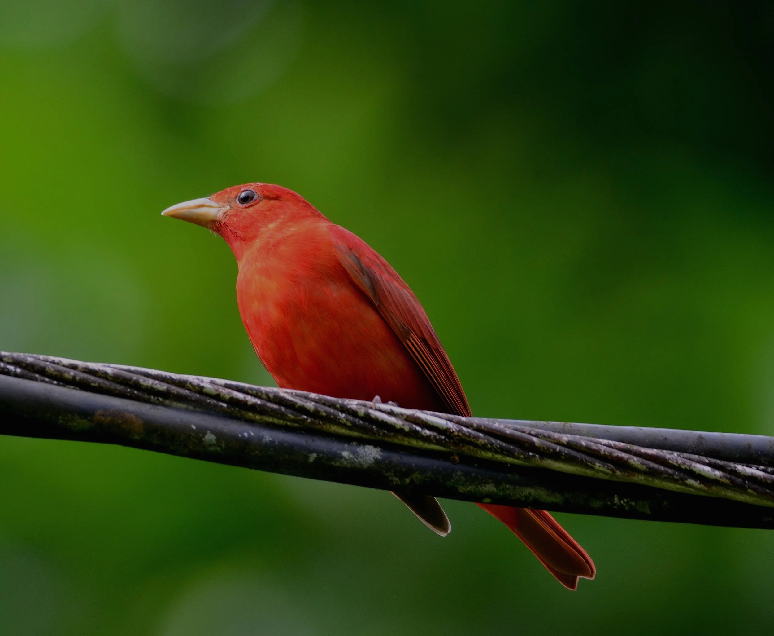 DSC_1573.JPG
