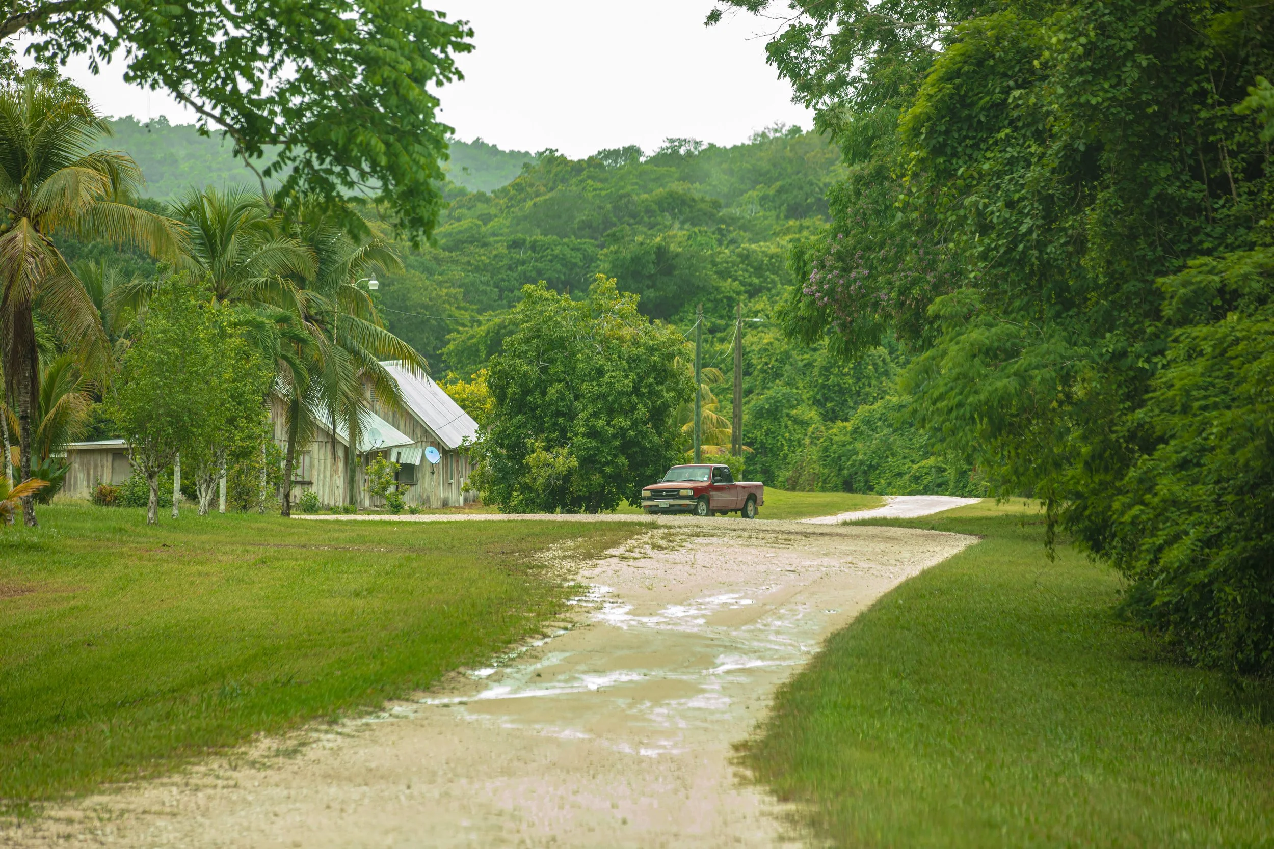 A gravel road between grass verges and dense trees, with a house in the distance