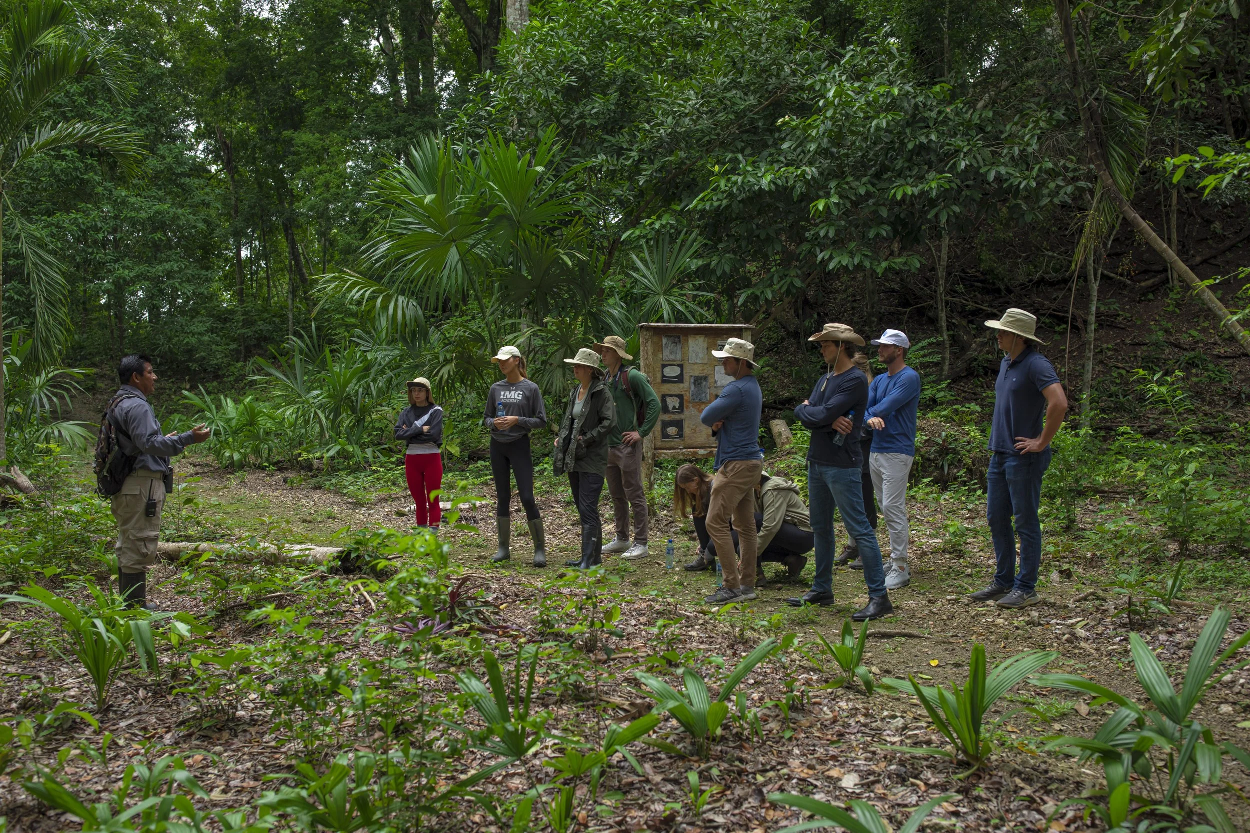 A group of diverse people listening to a guide in a lush green forest, some wearing hats and outdoor clothing, with informational signs in the background.