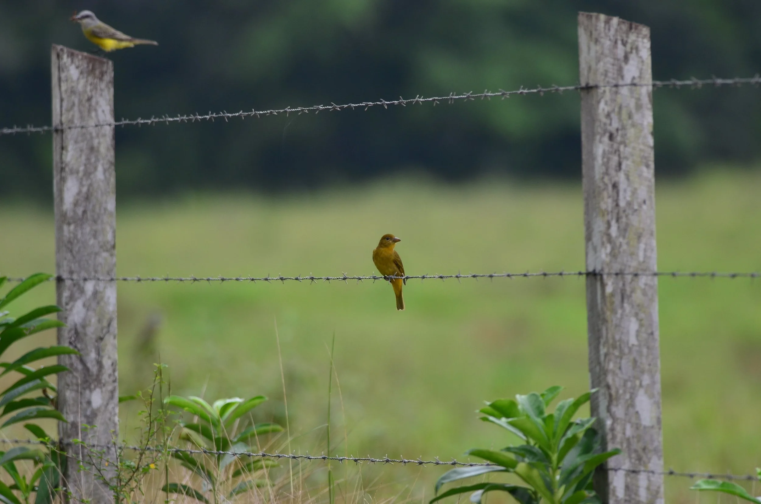 DSC_0329.JPG