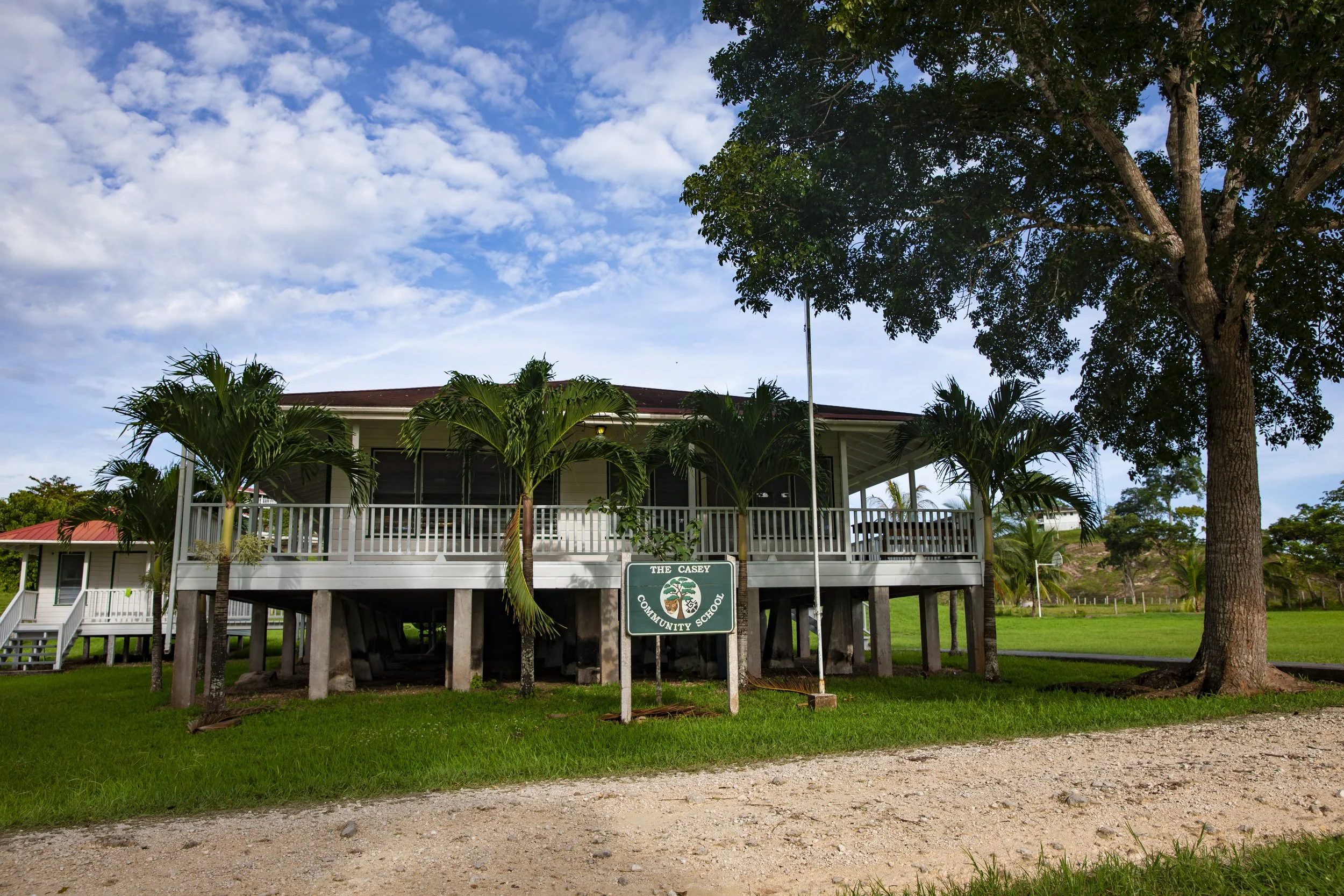 Two-story building on stilts behind a sign reading The Casey Community School, with palms and a large tree