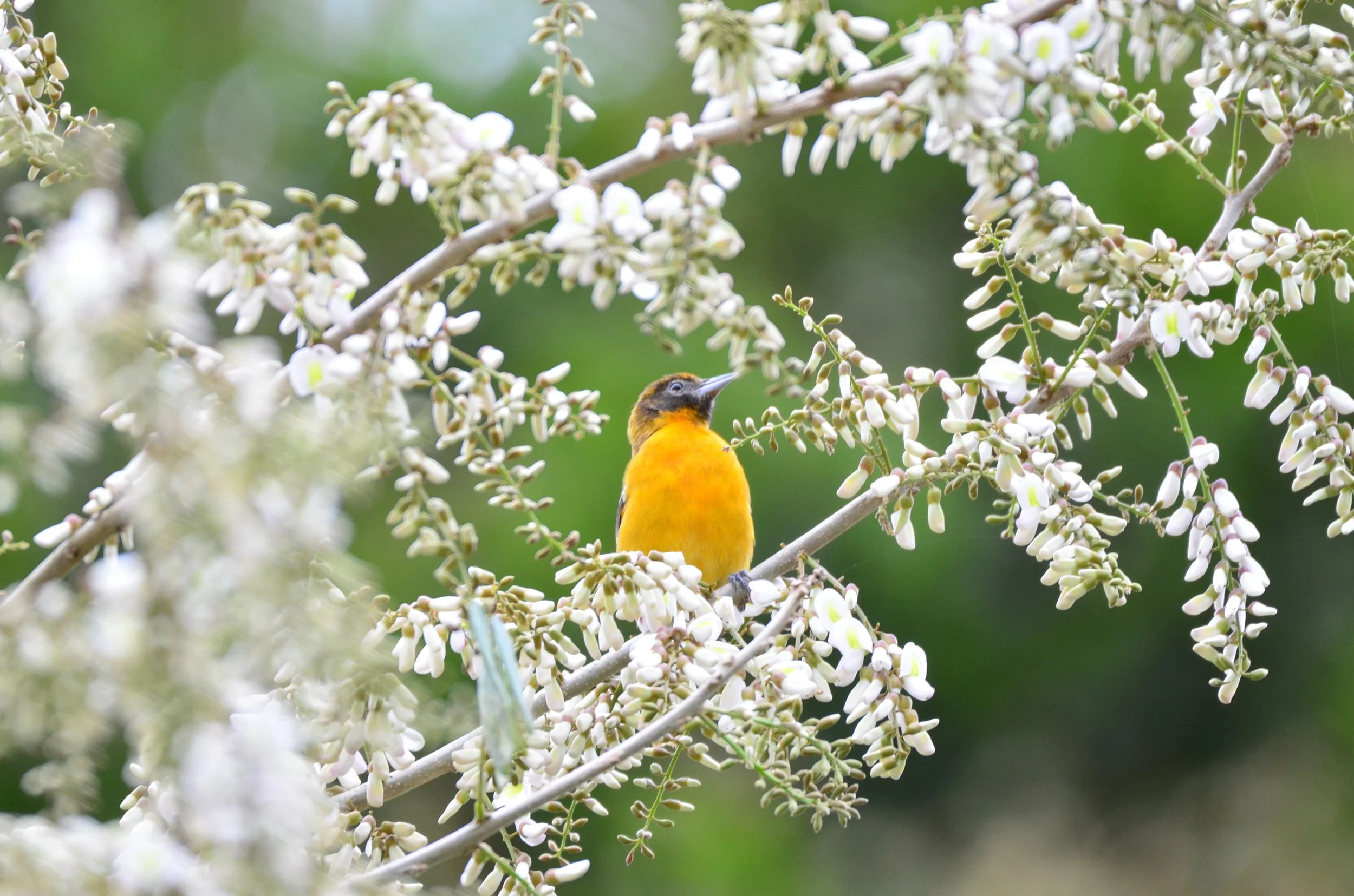 DSC_2147.JPG