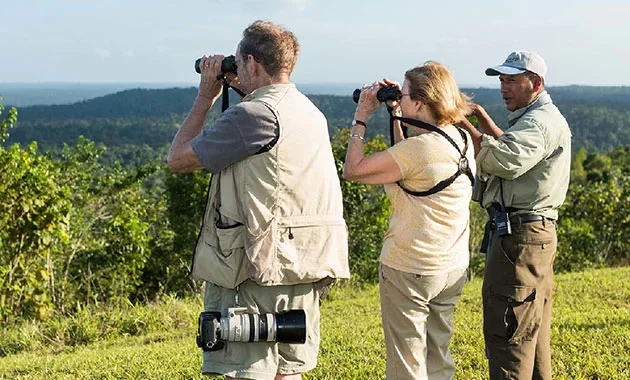 Three wildlife photographers in outdoor clothing standing on a grassy field with a forest in the background, taking photos with binoculars and cameras.