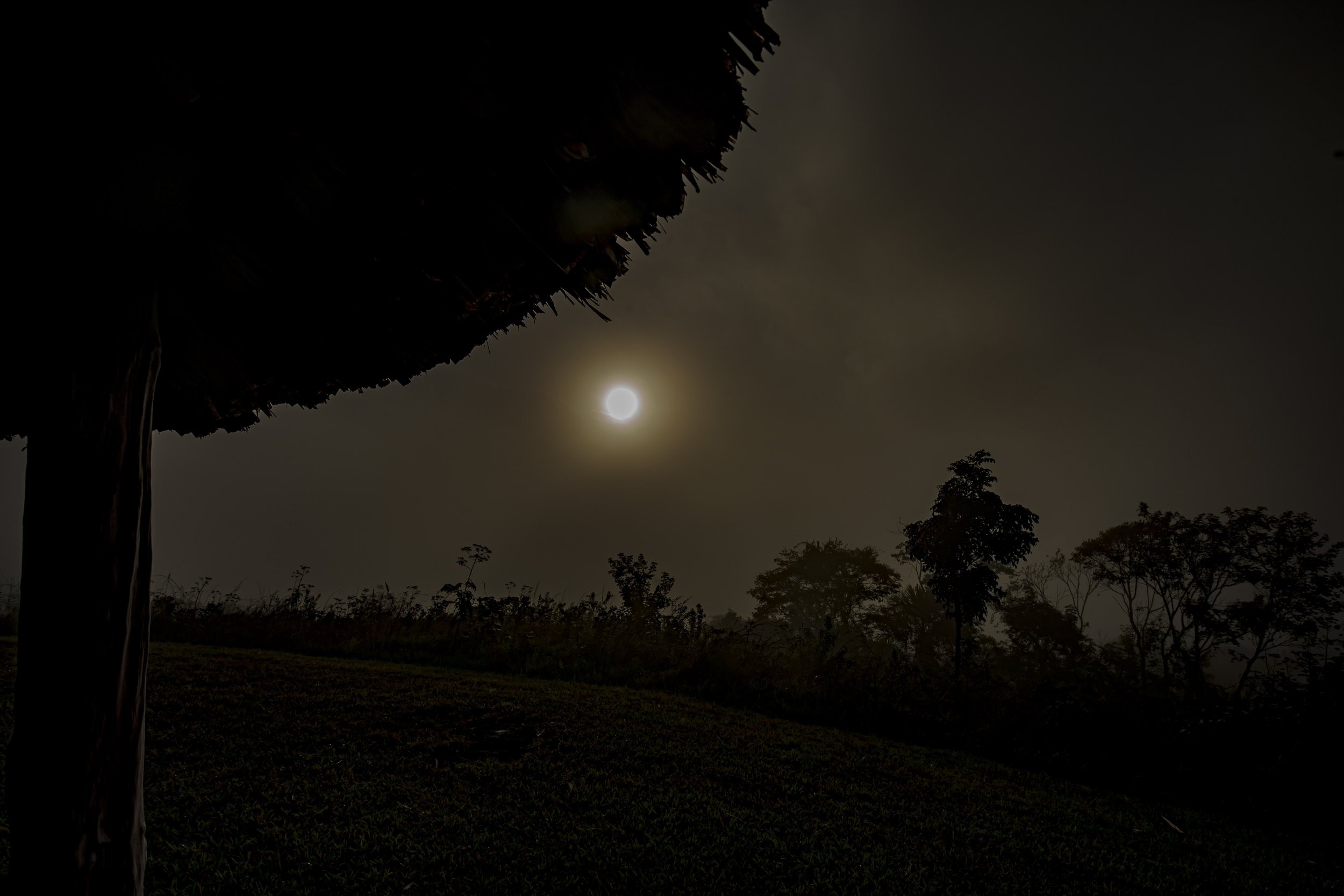 Nighttime scene with a full moon, silhouettes of trees, and a thatched roof hut in the foreground.