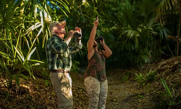 A man and a woman in a jungle, looking up and pointing at the sky while holding binoculars and a camera.