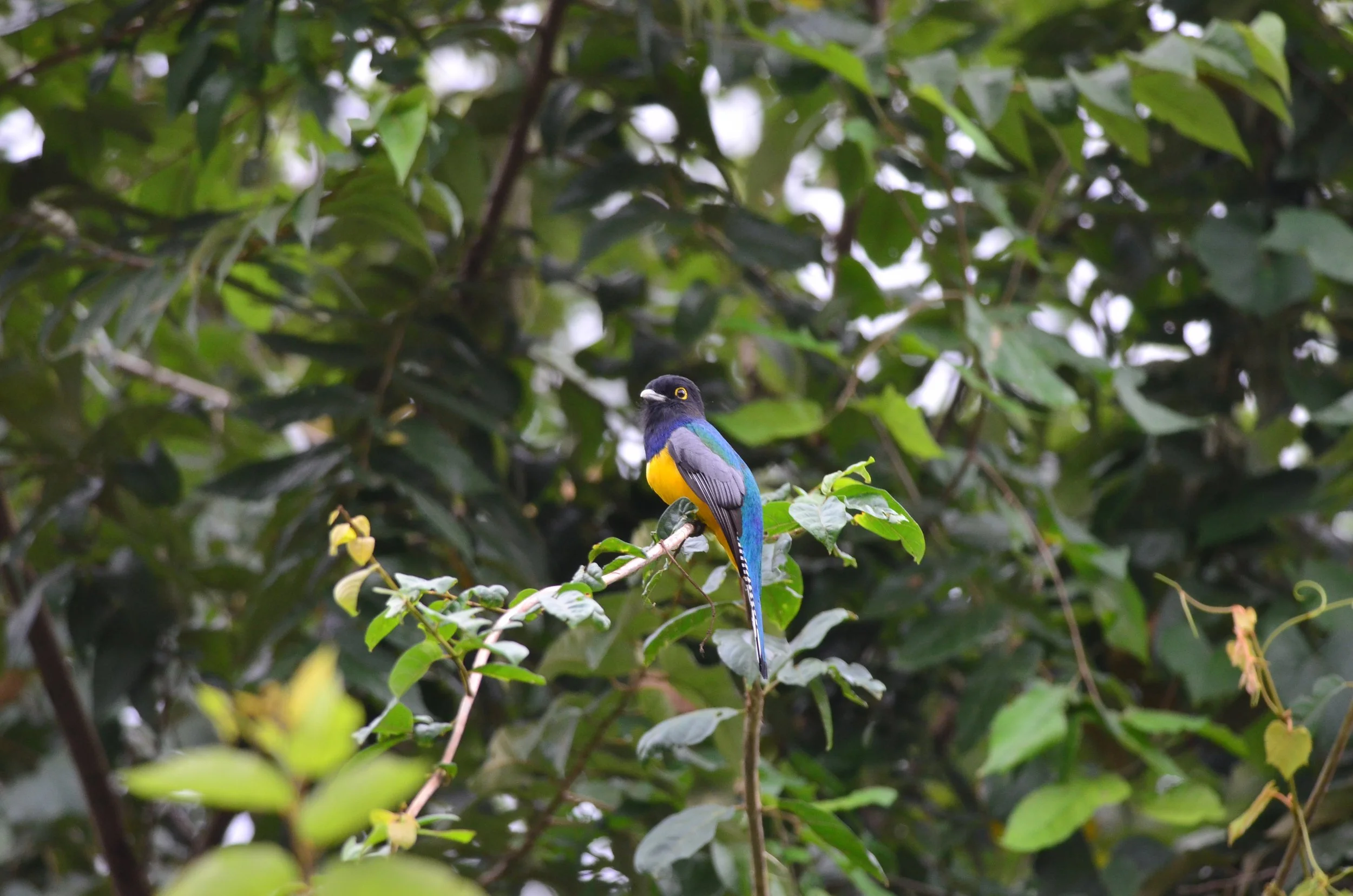 DSC_1770.JPG