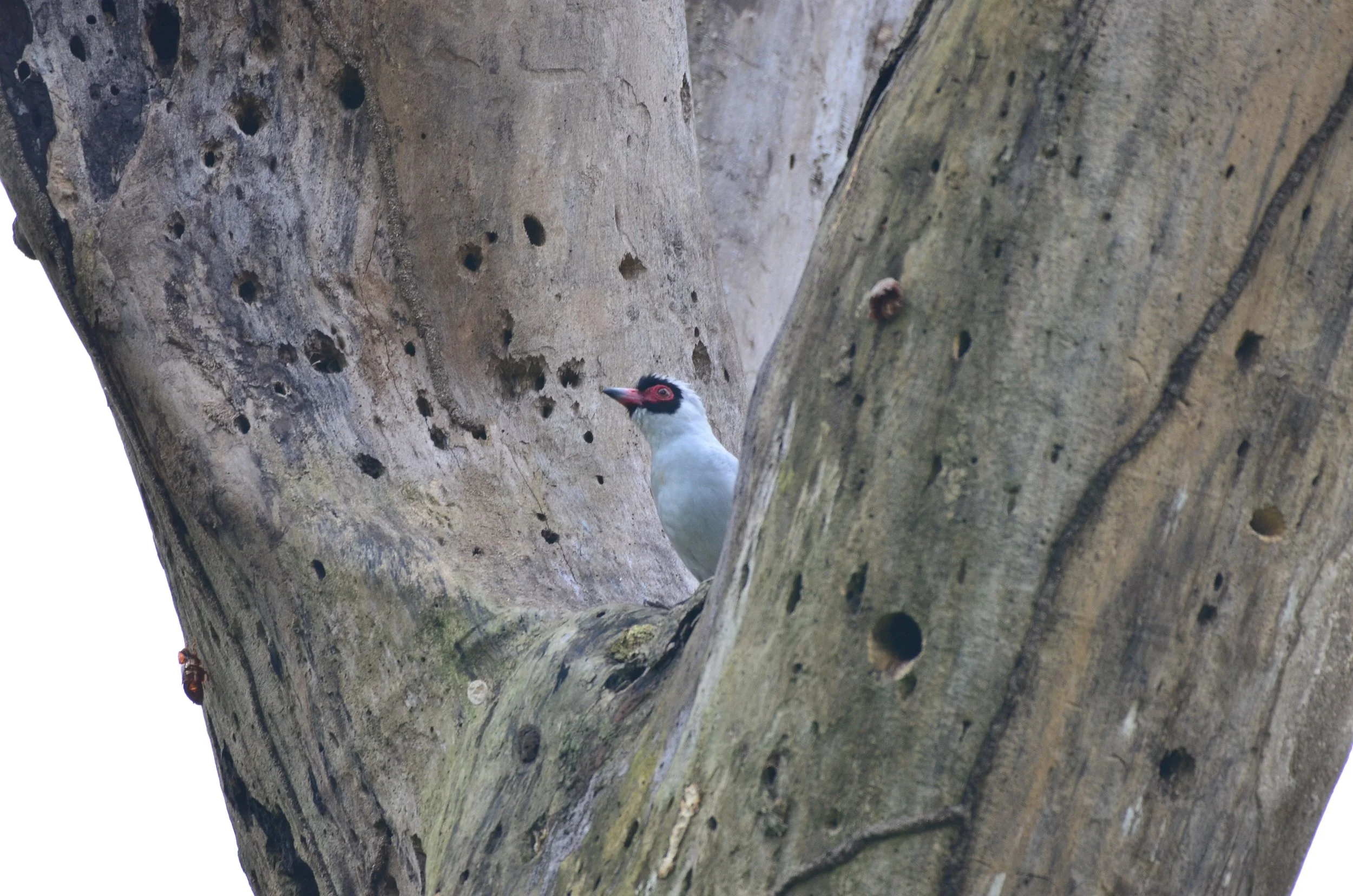 DSC_2129.JPG