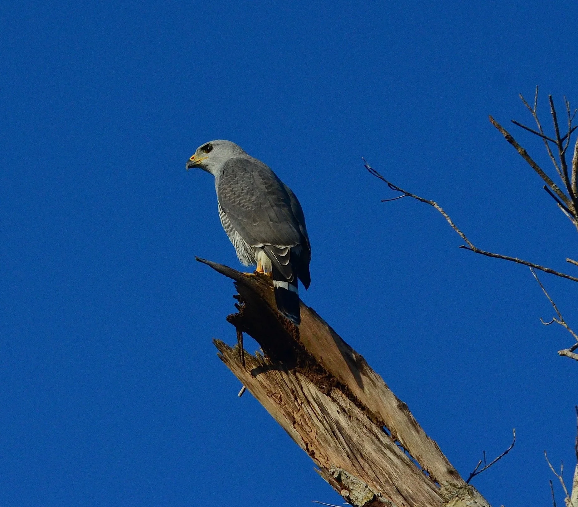 DSC_1296.JPG