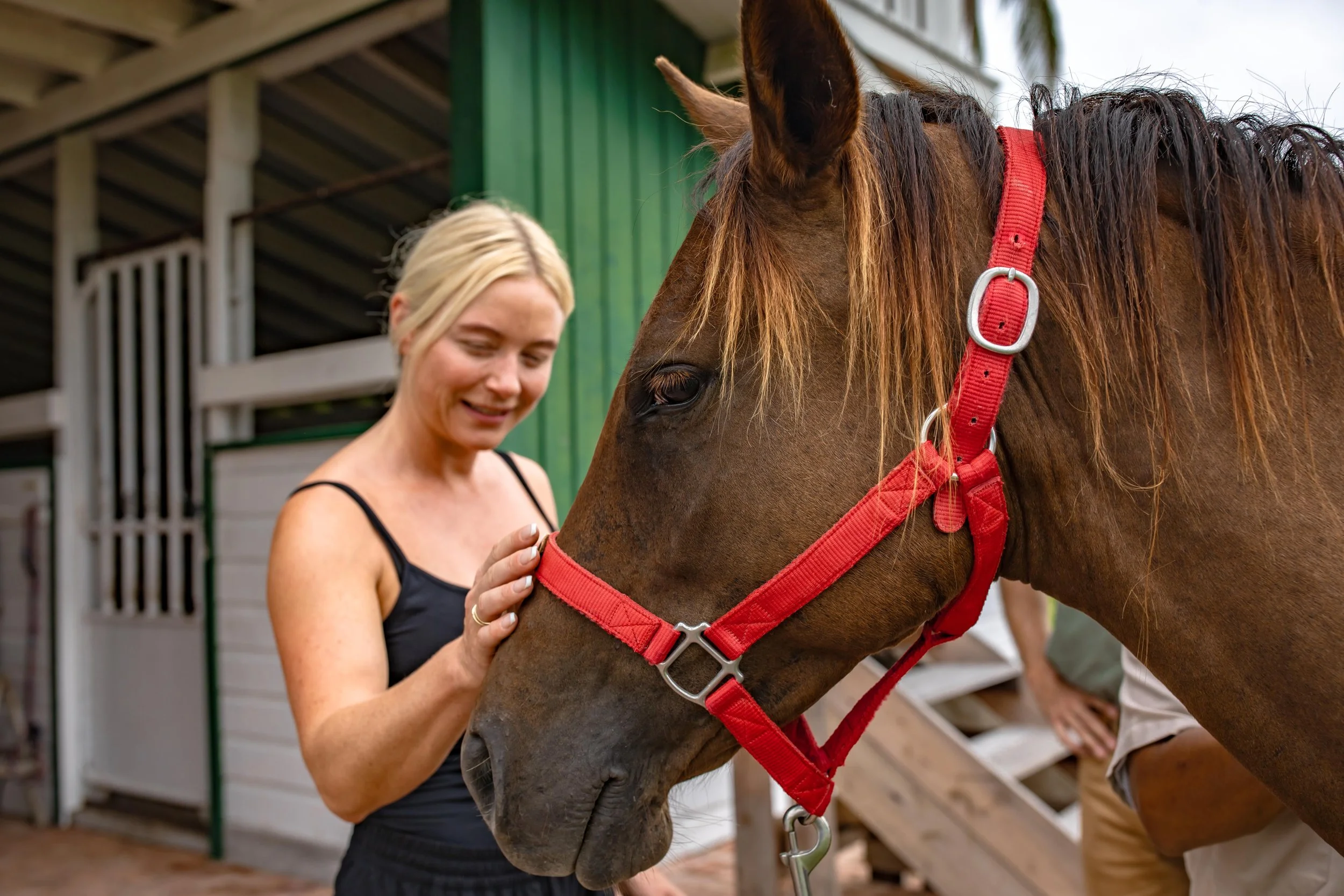 A woman with blonde hair in a black tank top adjusting a brown horse with a red halter outside a stable.
