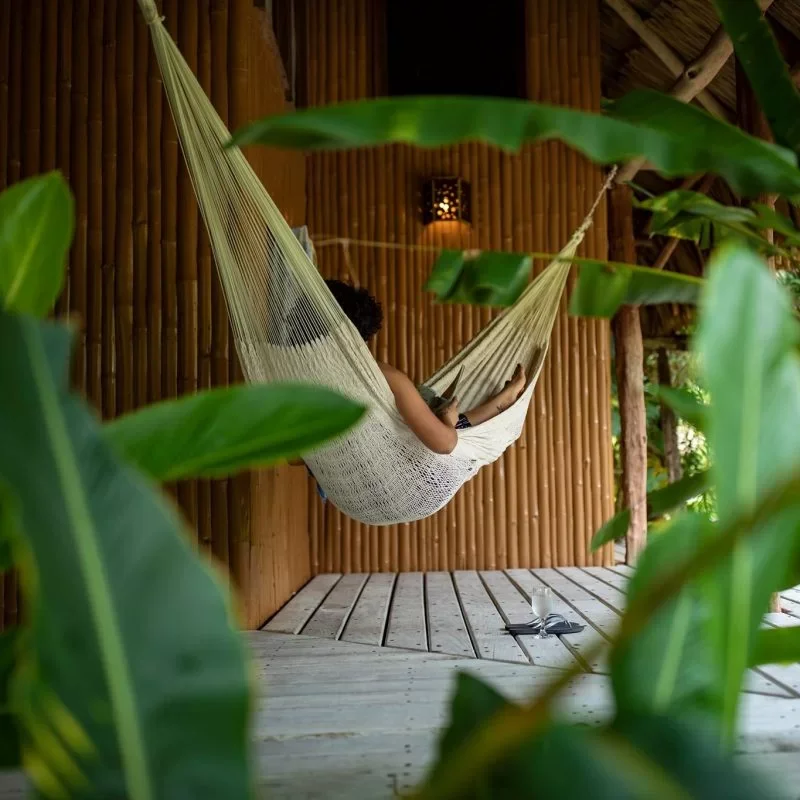 A hammock hanging on a wooden veranda, framed by broad green leaves