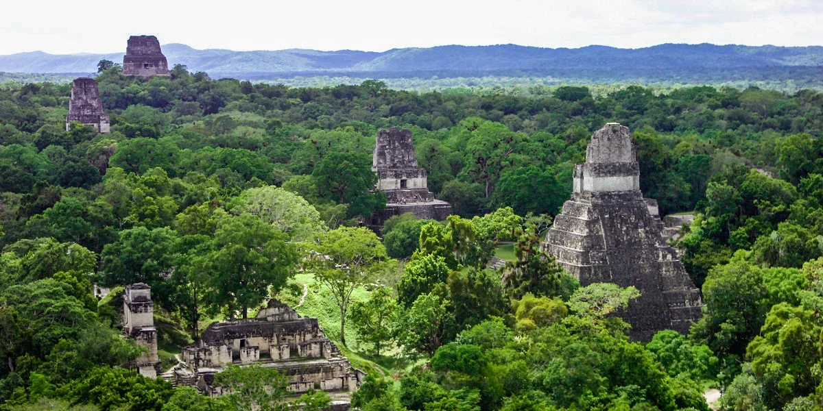 Ancient Mayan pyramids and ruins surrounded by lush green jungle in Tikal, Guatemala.