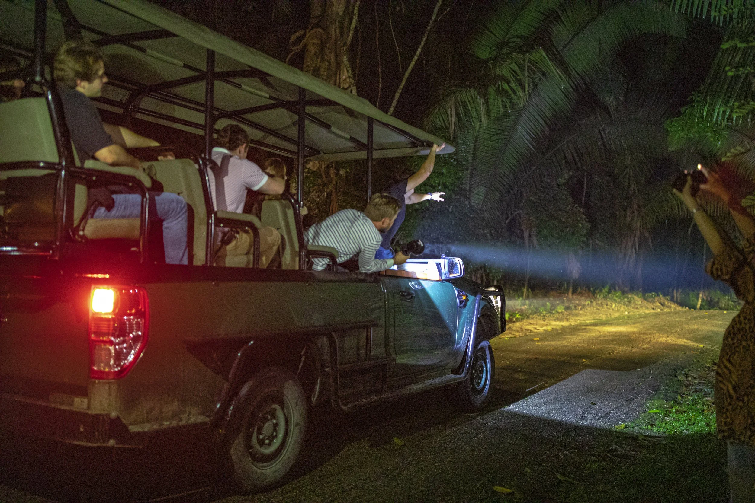 Group of people on a safari vehicle at night, surrounded by dense jungle foliage, with some individuals pointing and holding cameras with flashlights.
