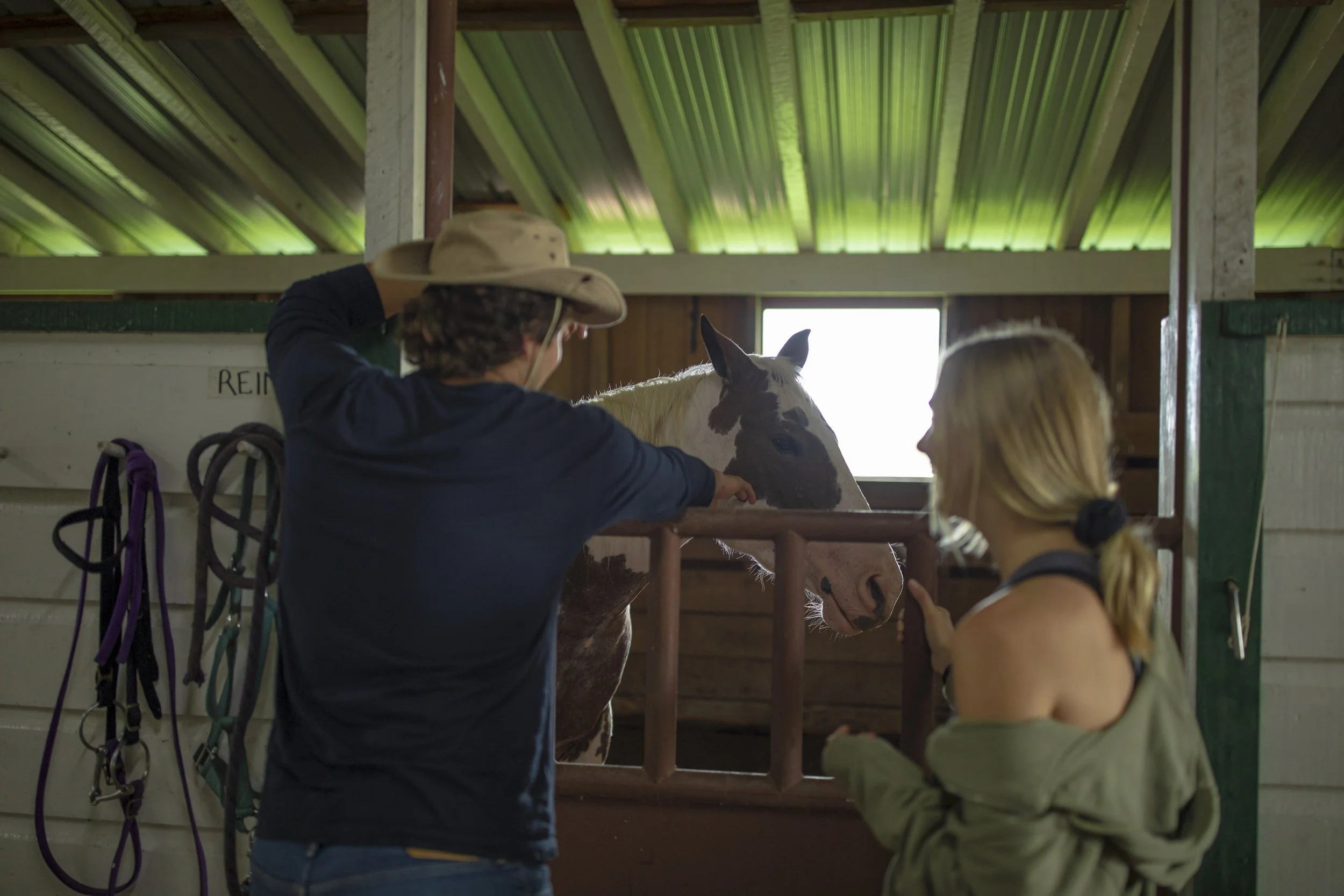 A person wearing a cowboy hat and glasses adjusting the head of a horse inside a stable, with a young girl watching.