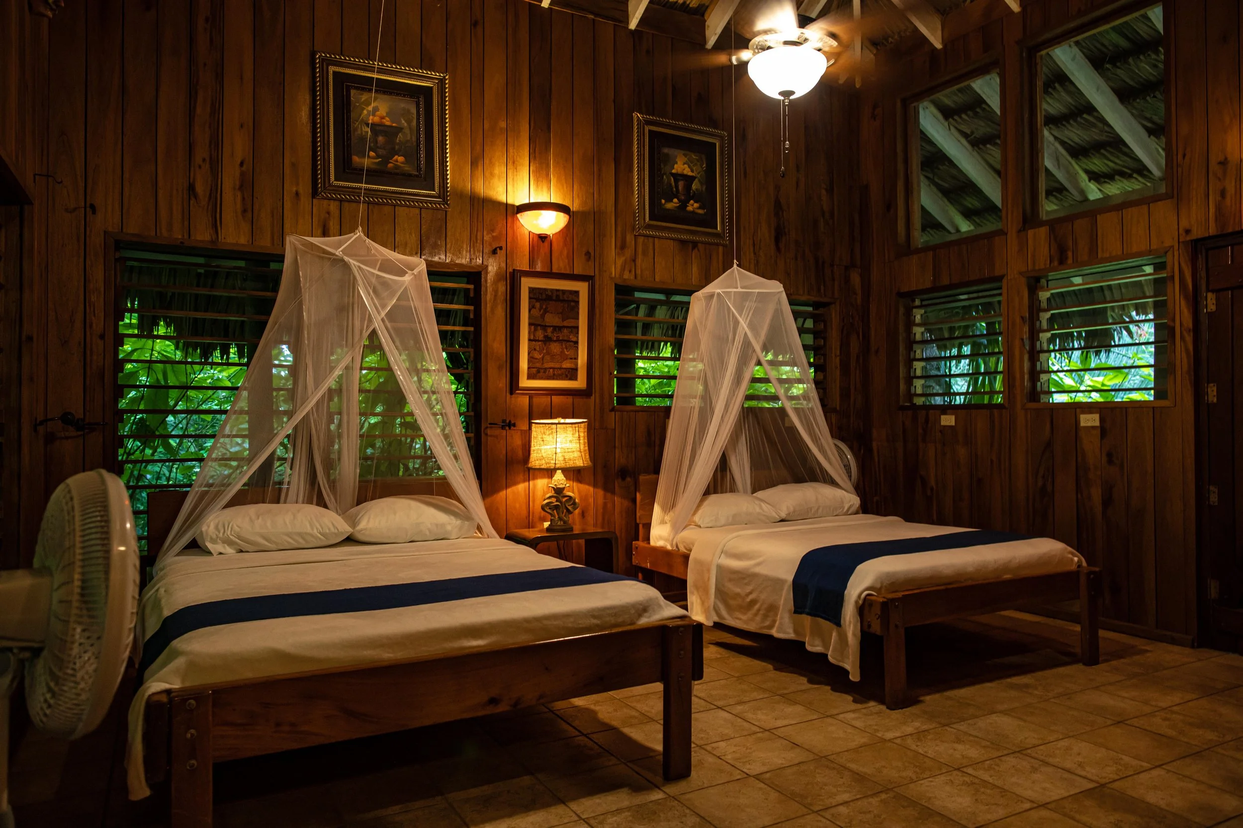 Two beds under mosquito nets in a wood-paneled room with framed paintings, a ceiling fan and plants outside the windows