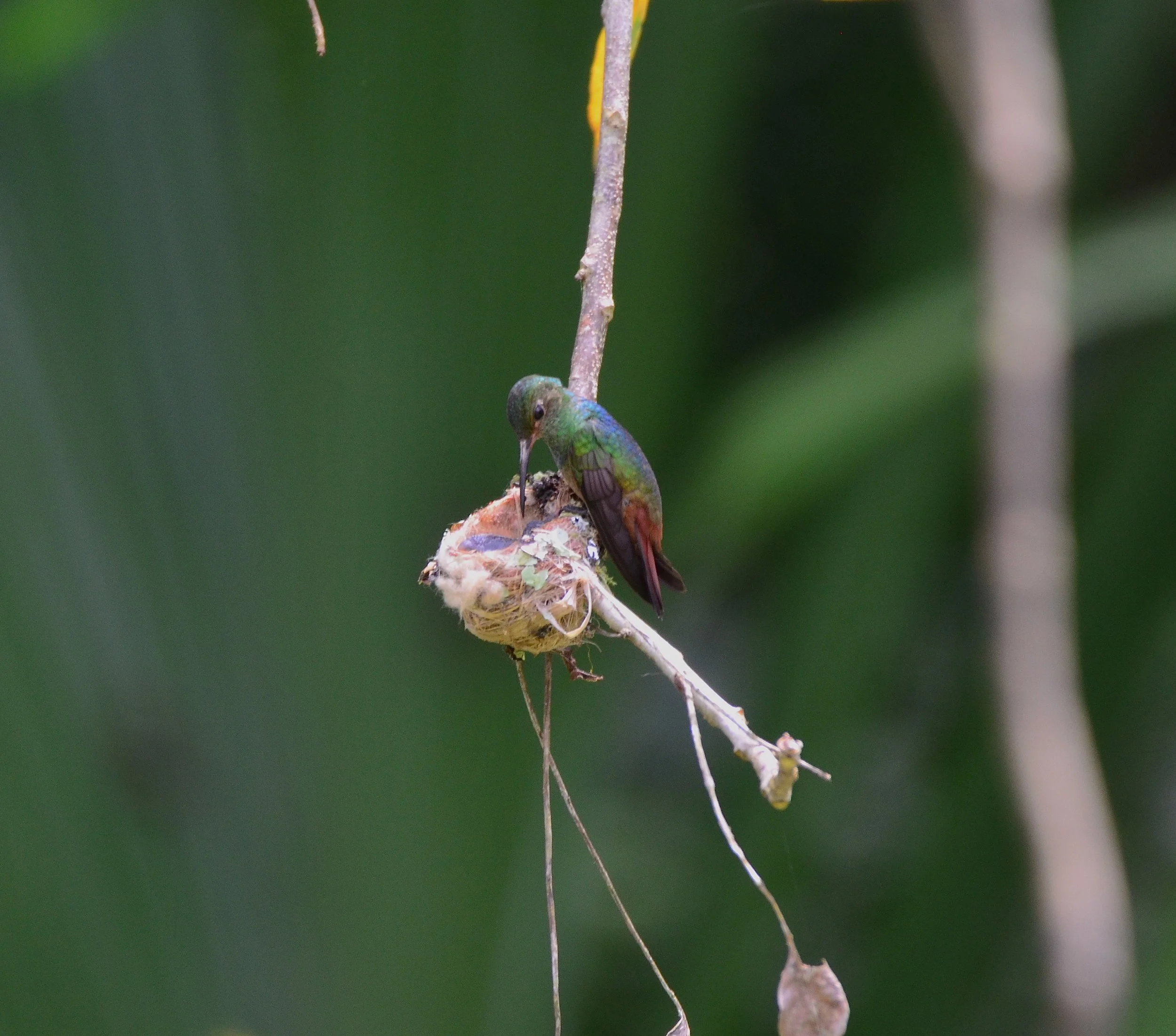 DSC_0963.JPG