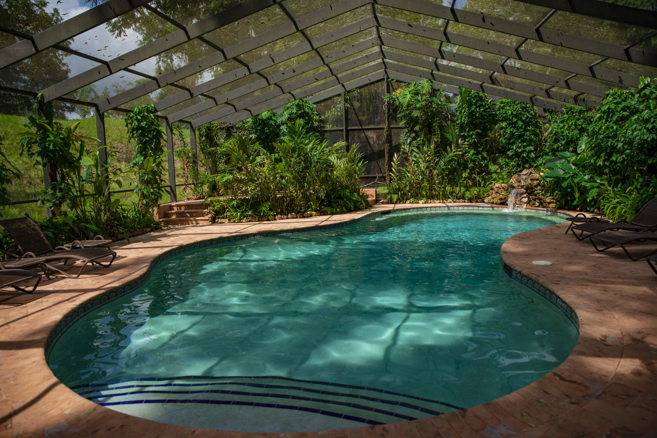 A screened swimming pool, with lounge chairs on the deck and trees beyond the screen