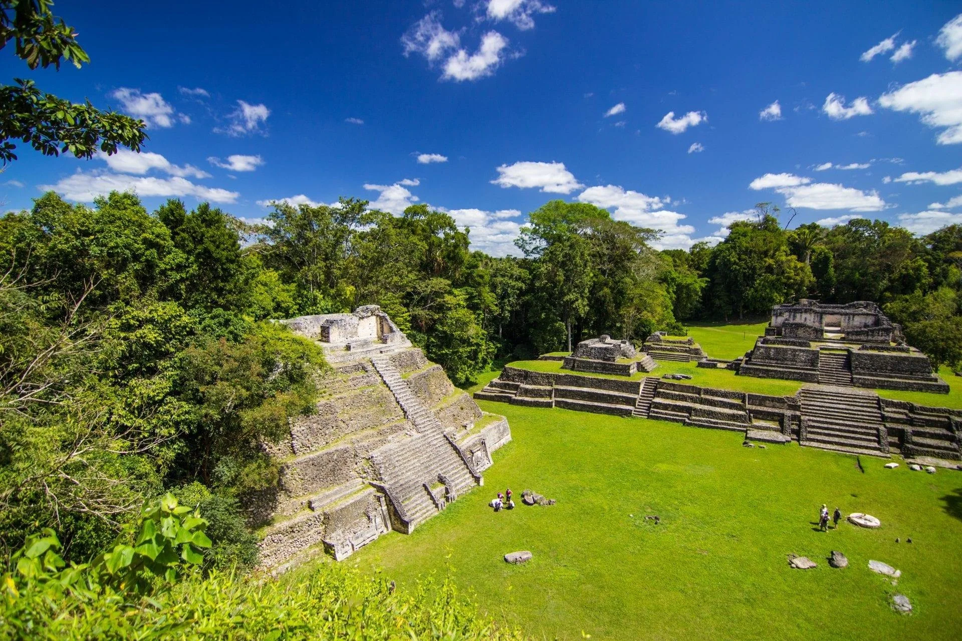 Ancient Mayan ruins with stepped stone pyramids surrounded by lush green jungle and a grassy clearing, under a clear blue sky with scattered white clouds.