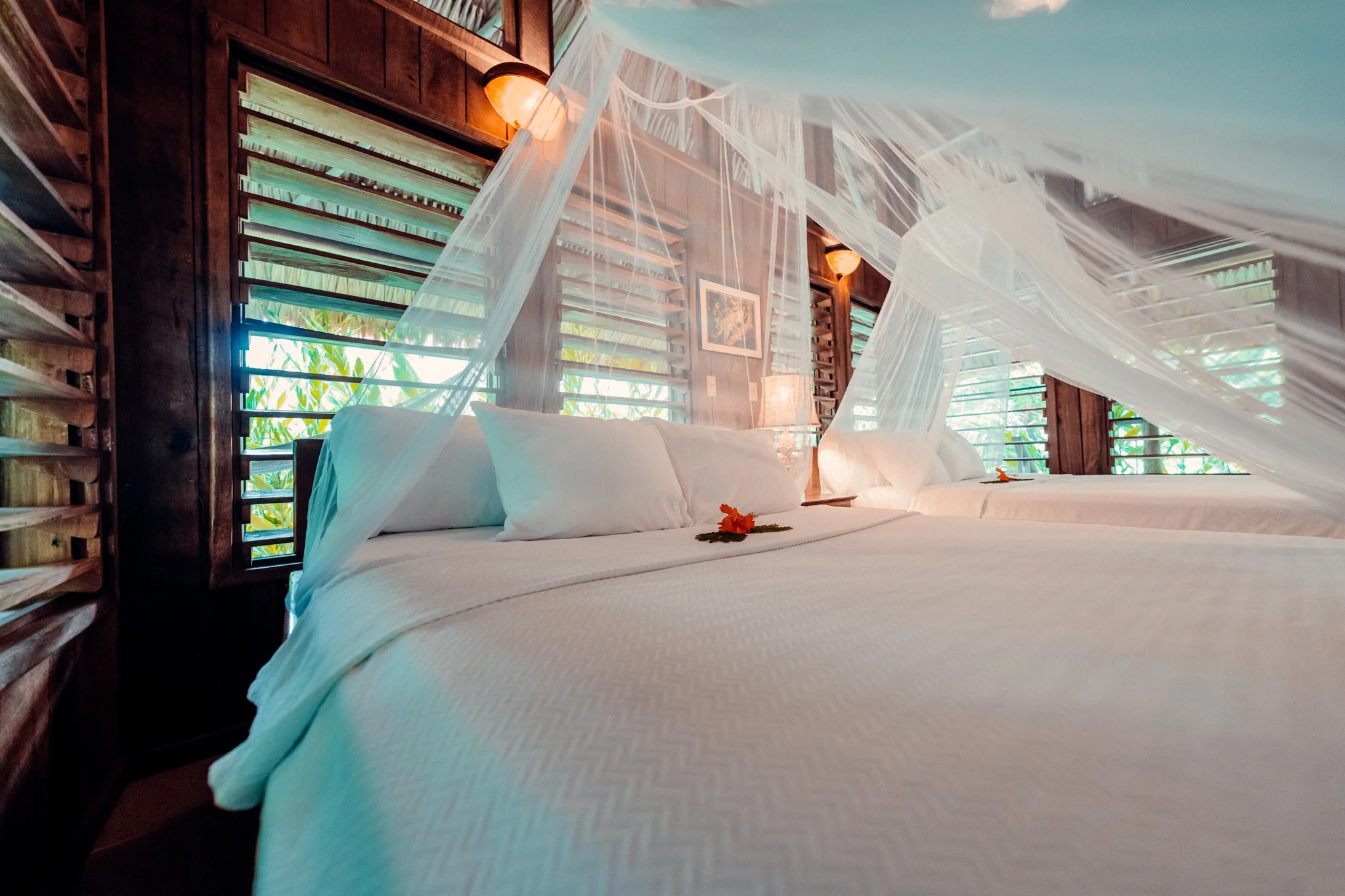 Bed with white linens and a draped mosquito net in a room with dark wood walls and louvered windows