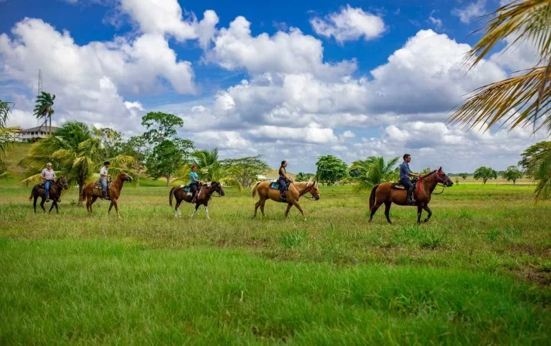 horseback riding chan chich.webp