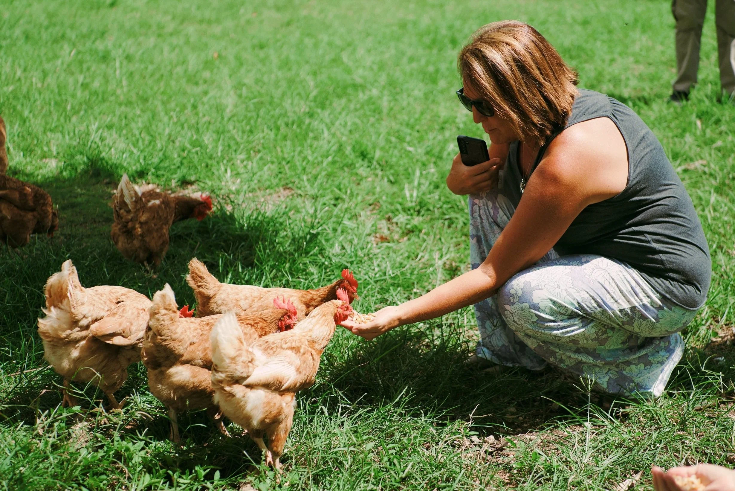 Woman kneeling on the grass outdoors, feeding a group of chickens