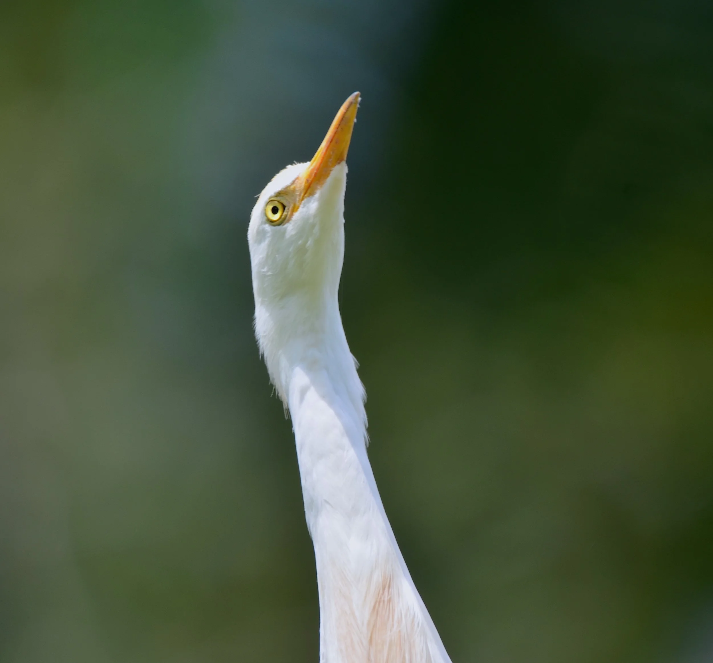 DSC_0165.JPG