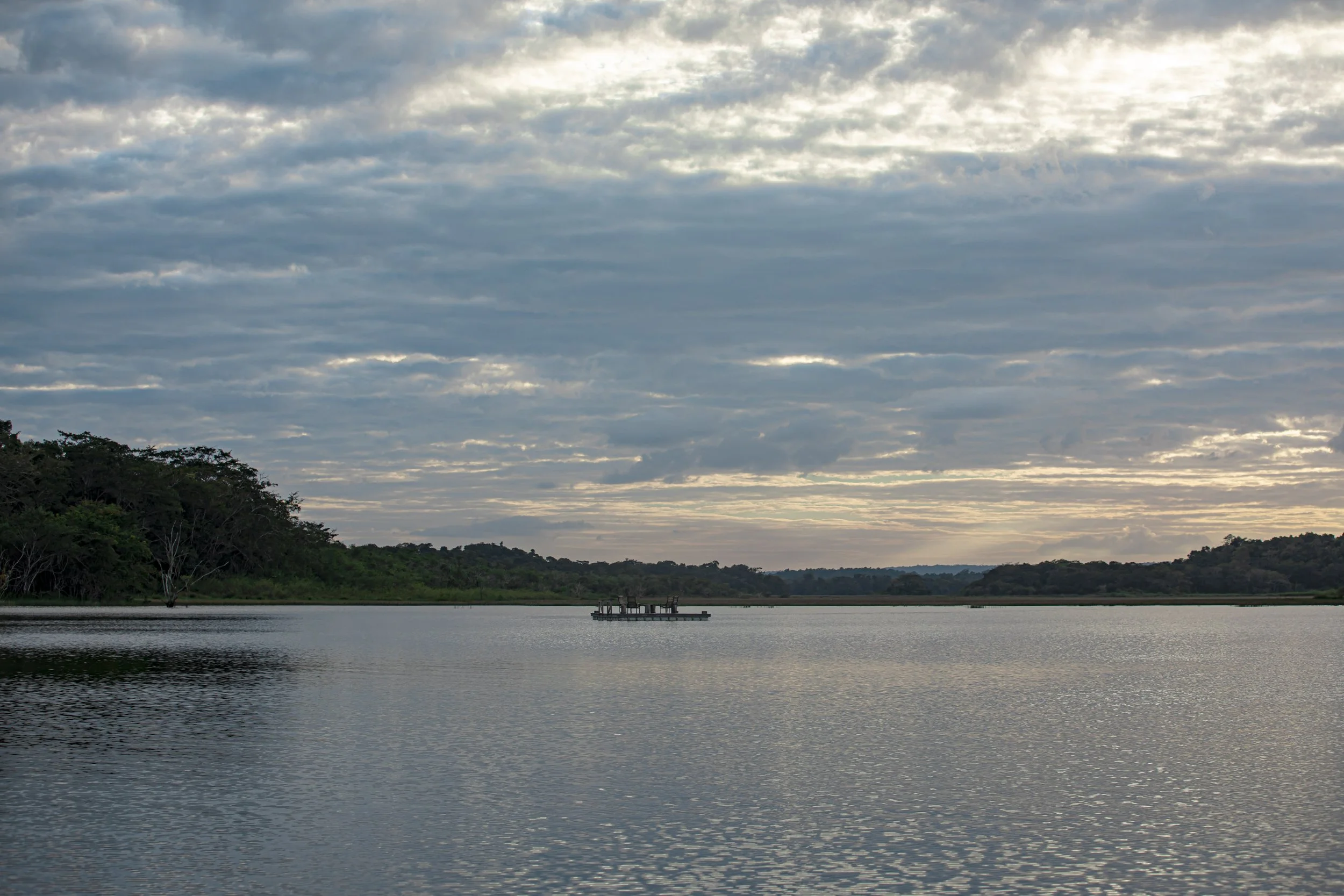 Calm lake under a cloudy sky, with rainforest along the far shore