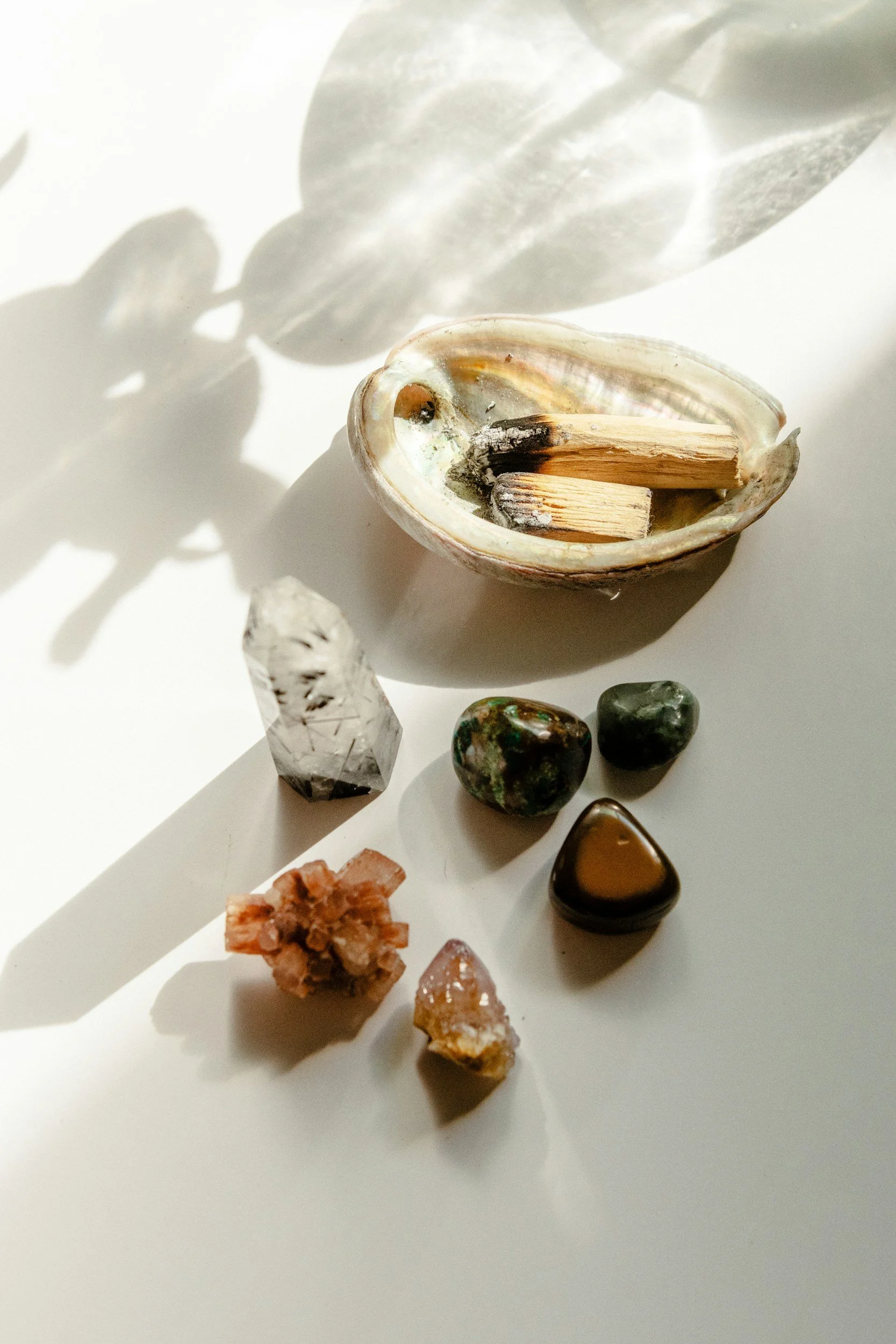 An arrangement of crystals, stones, and minerals on a white surface. A shell with two wood sticks is prominently in the upper part of the image, with shadows cast on the surface.