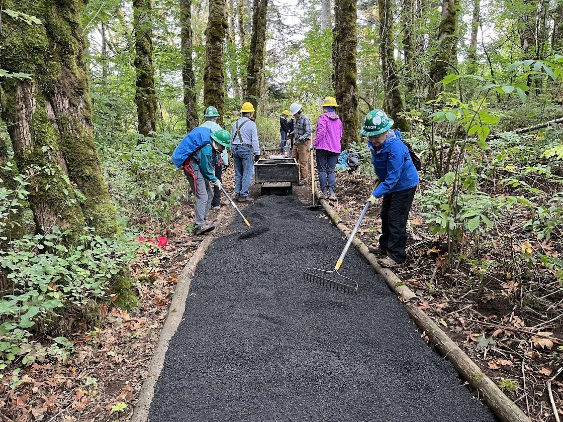 Workers laying fresh asphalt on a forest trail, wearing helmets and using tools to spread the asphalt evenly.
