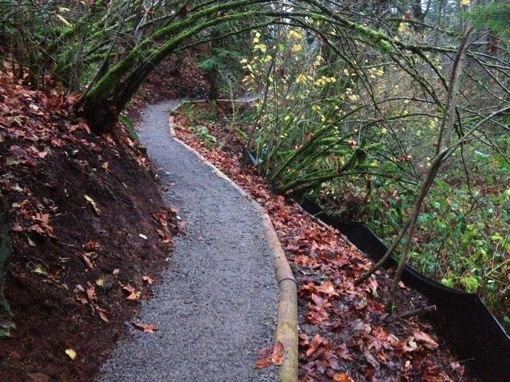 A finished winding gravel walking trail through a forested area with fallen leaves on the ground.