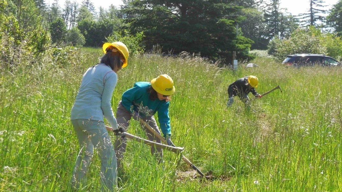 Three Cape Horn Conservancy volunteers wearing yellow hard hats working in a grassy field with trees in the background.