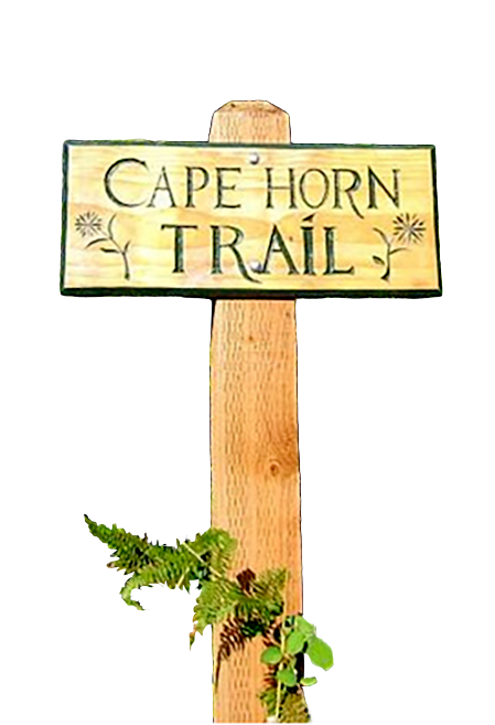 Wooden trail sign reading 'Cape Horn Trail' with greenery at the base.
