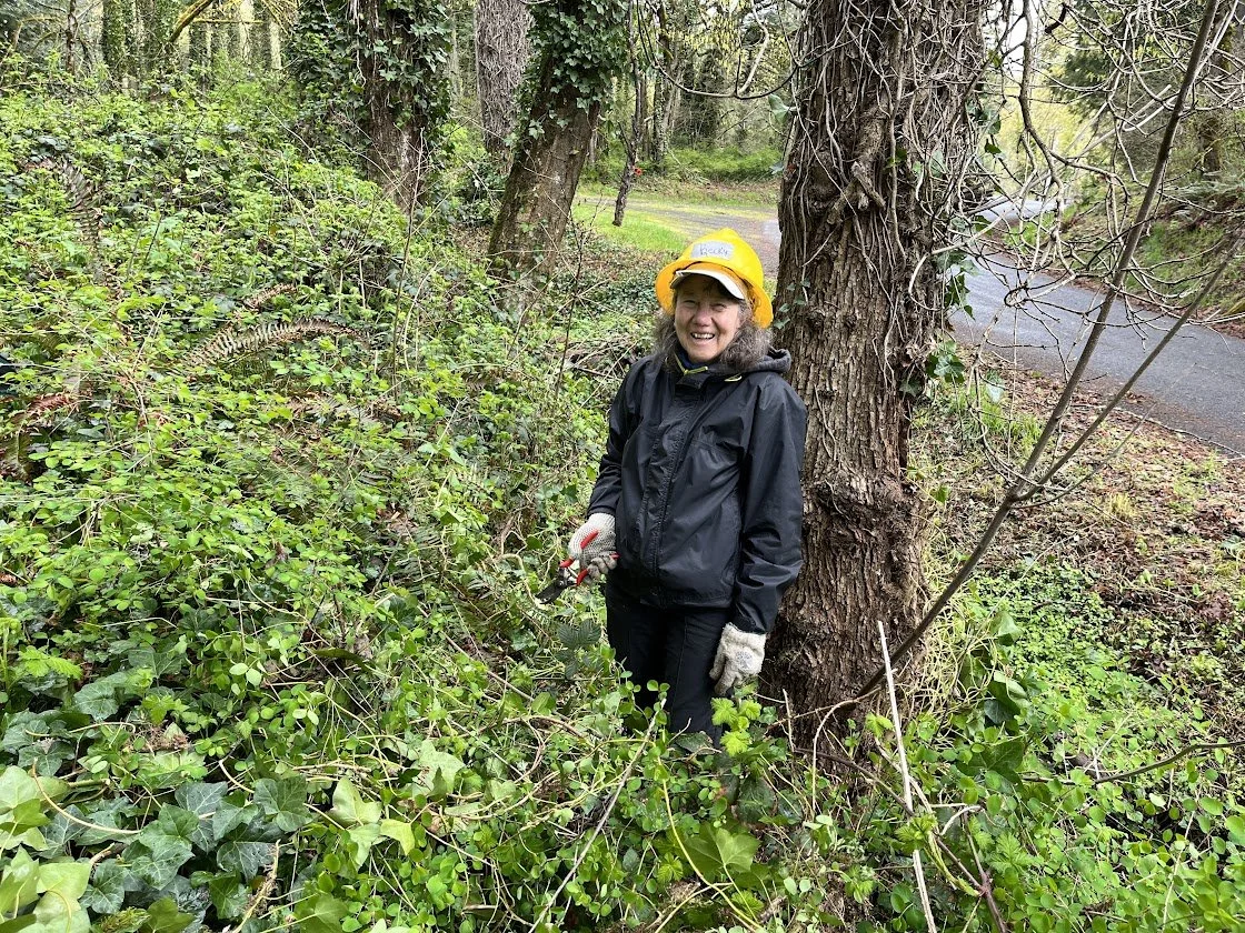 A Cape Horn Conservancy volunteer wearing a yellow hat and black jacket stands next to a tree trunk in a green, wooded area, smiling and holding garden shears.