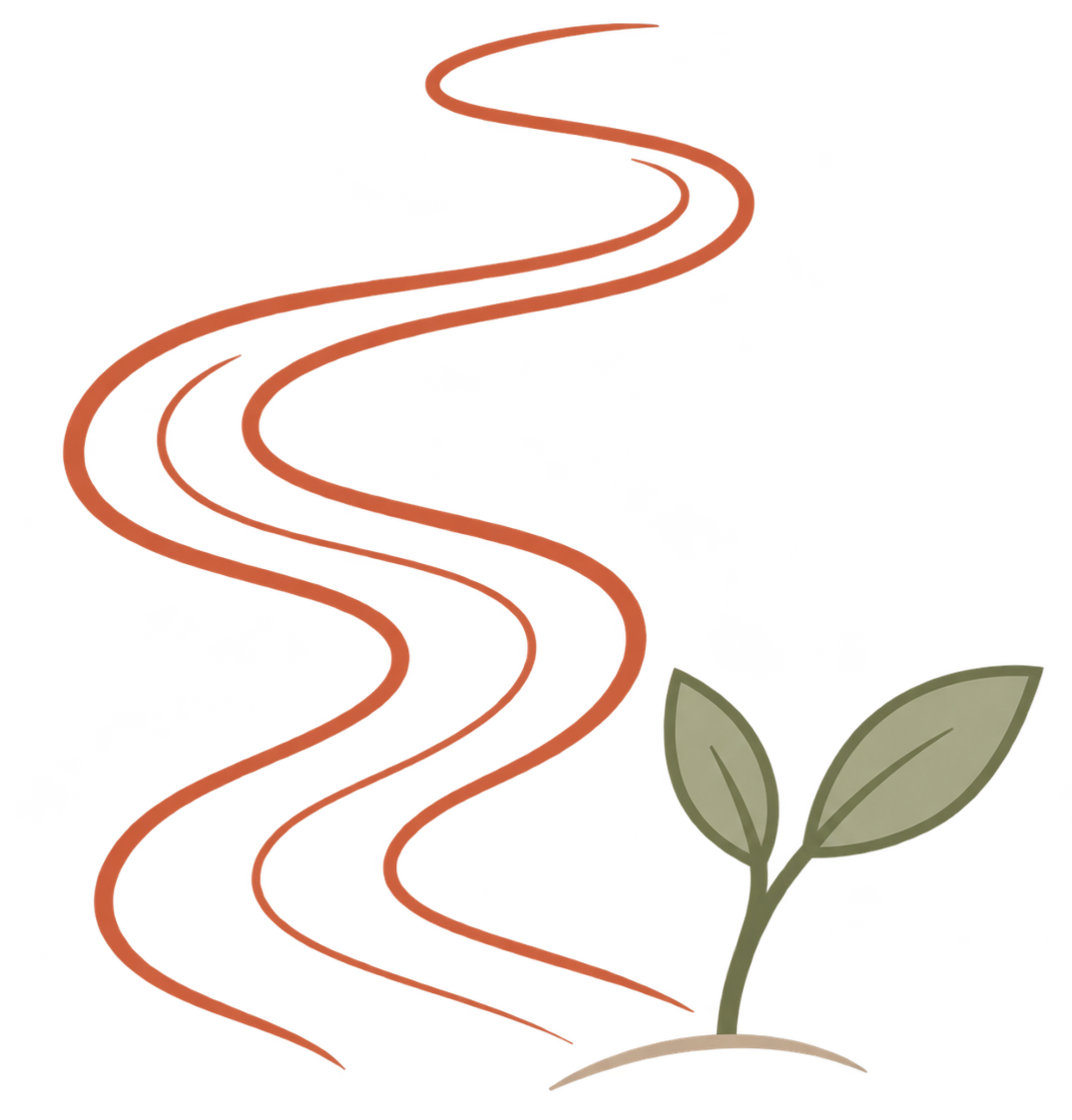 Winding path beside a small growing plant
