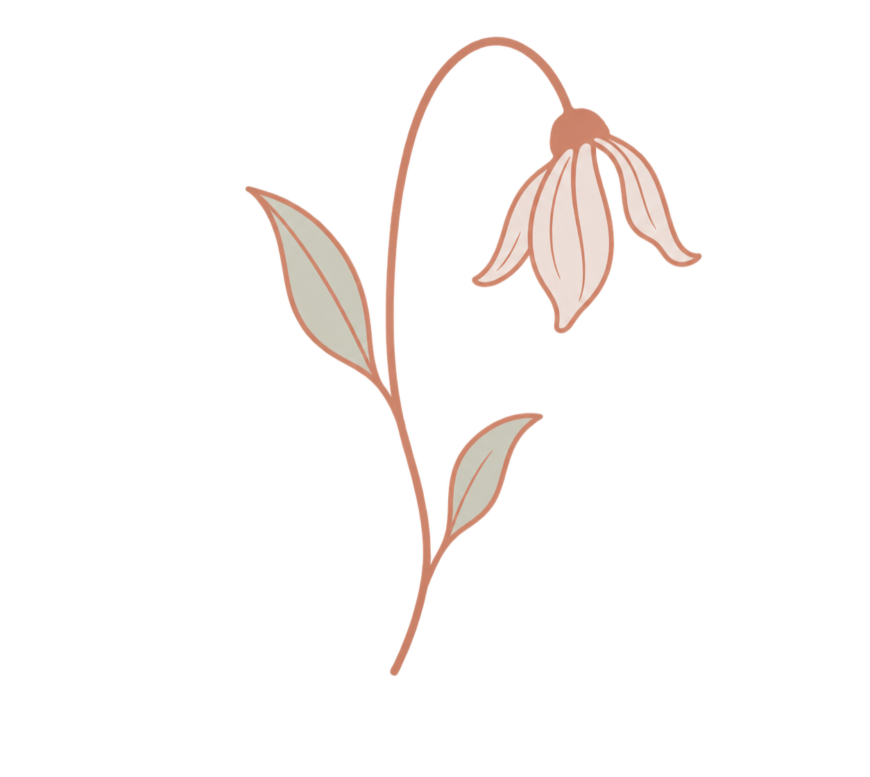 Drooping flower with wilted petals