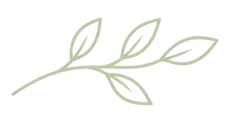 Simple green leafy branch