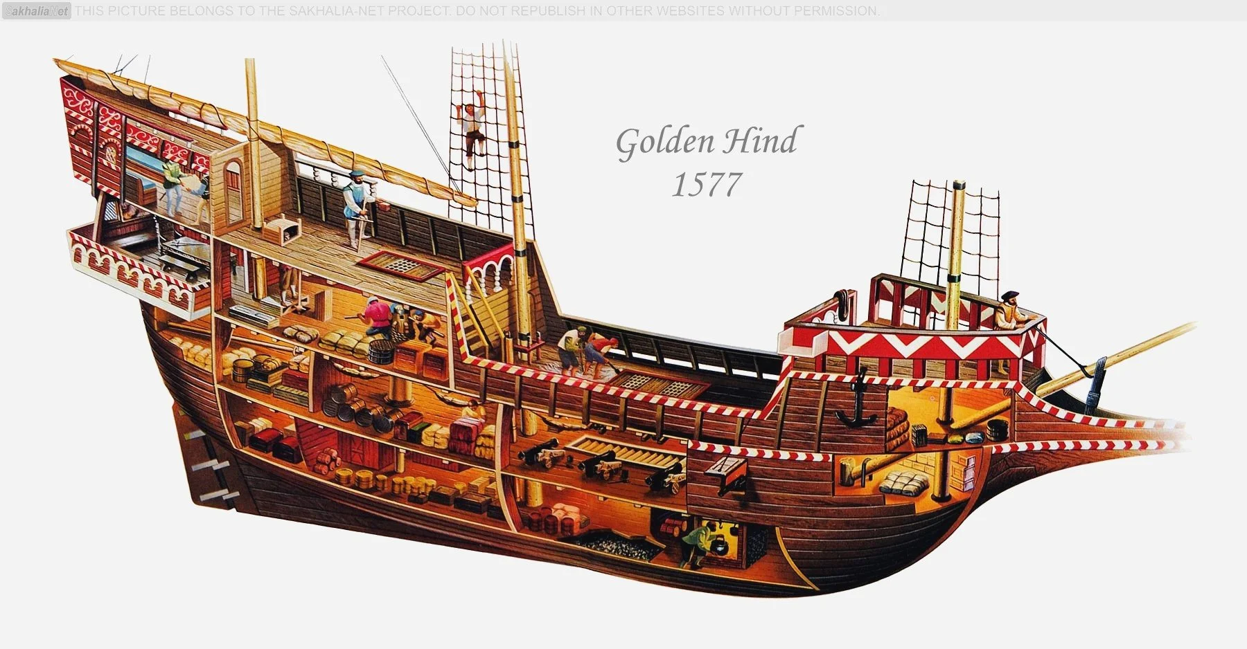 Golden Hint 1577 (4).jpg