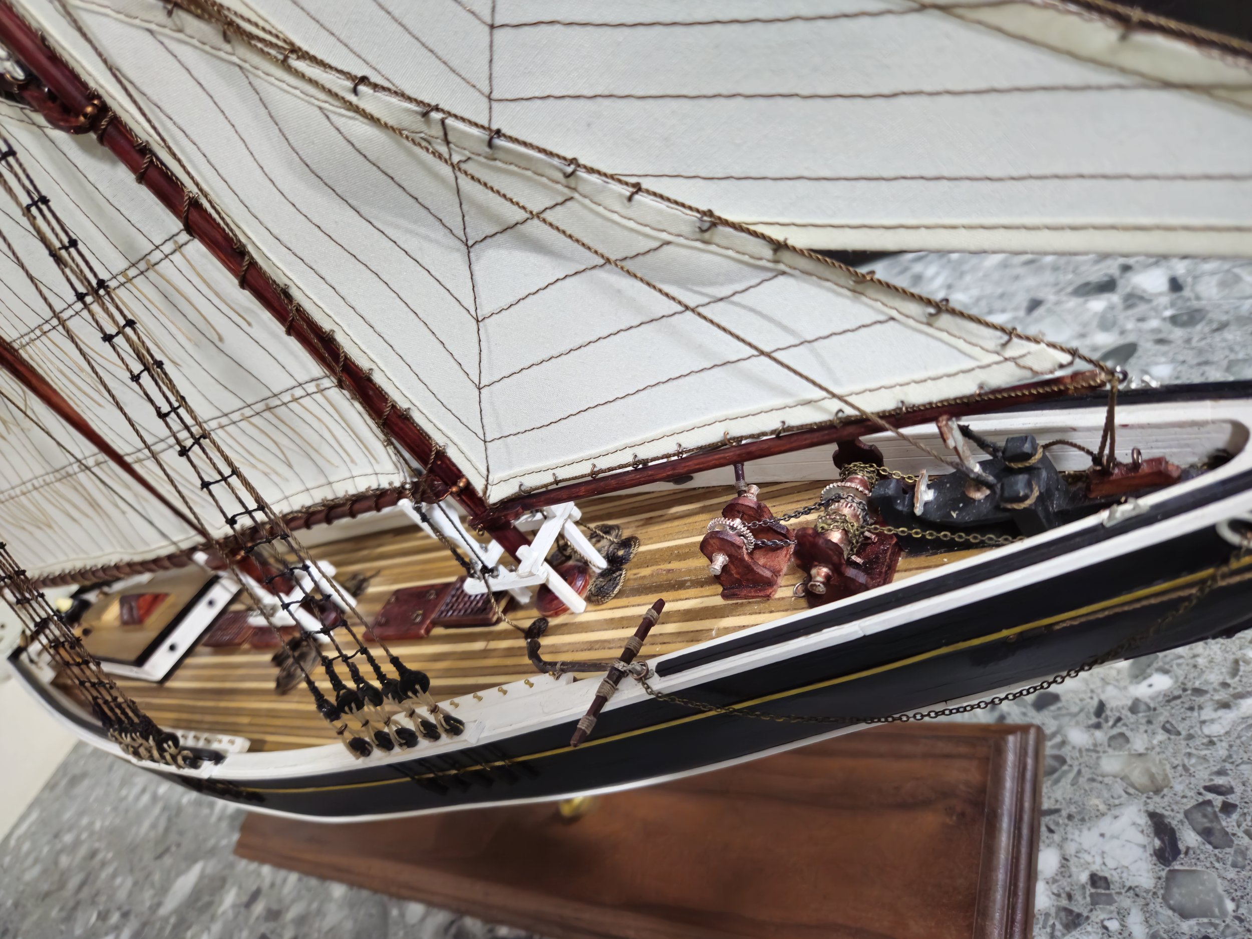 BlueNose.jpg