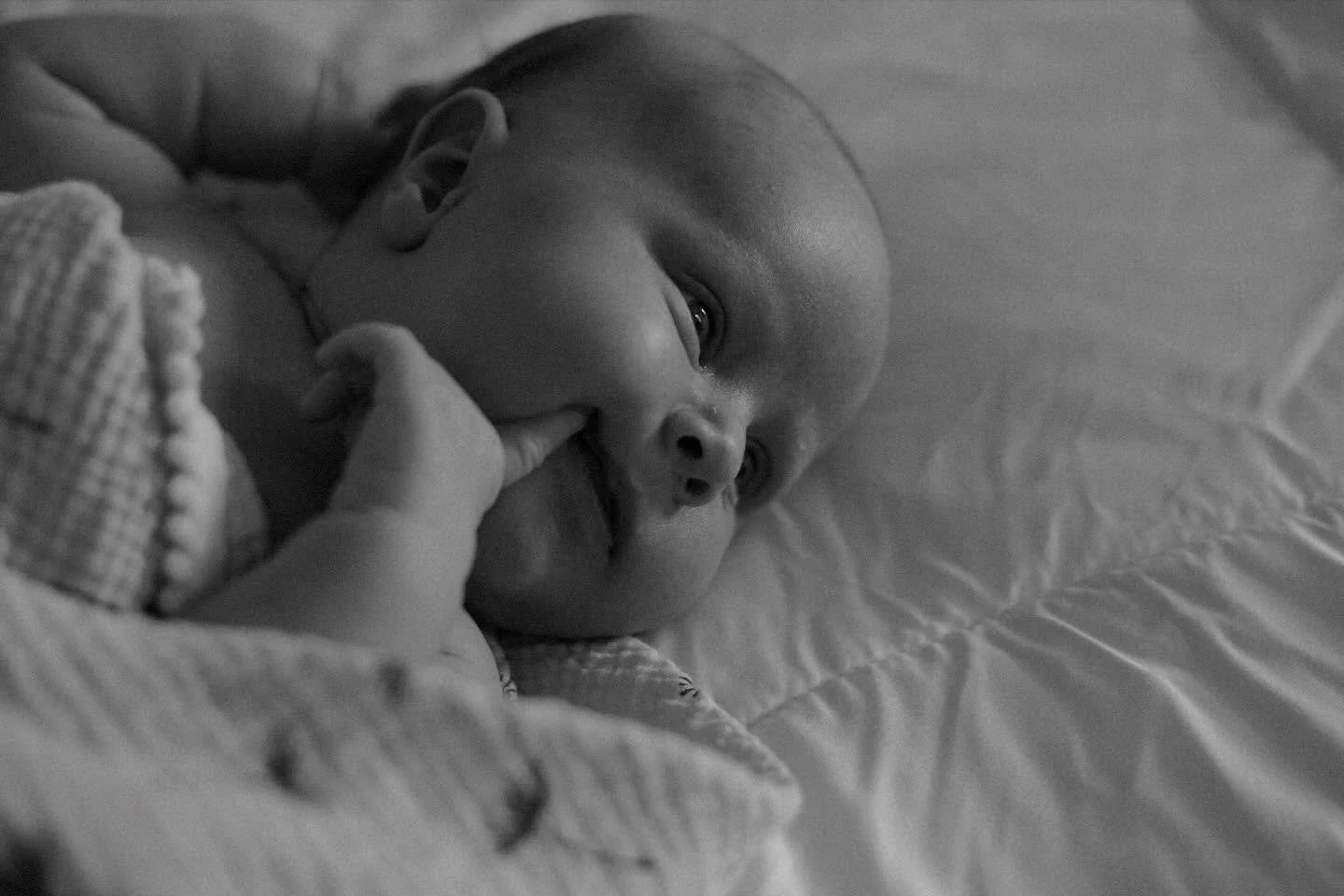 black and white photos will always have my heart 🤍

#indianapolisnewbornphotography #indianapolisfamilyphotographer #carmelphotographer #indymoms #indianapolisbirthdoula