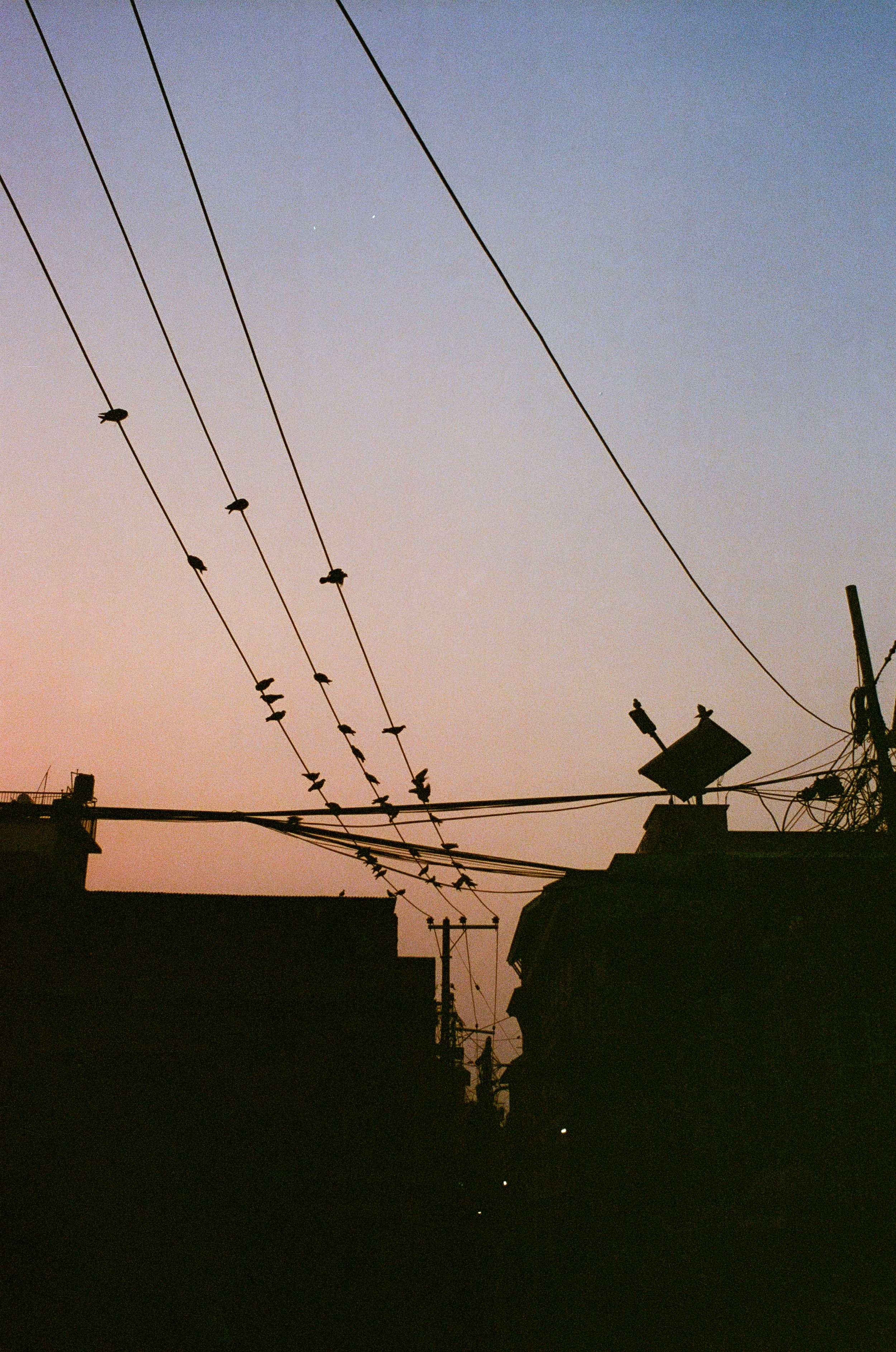 76080037.jpg