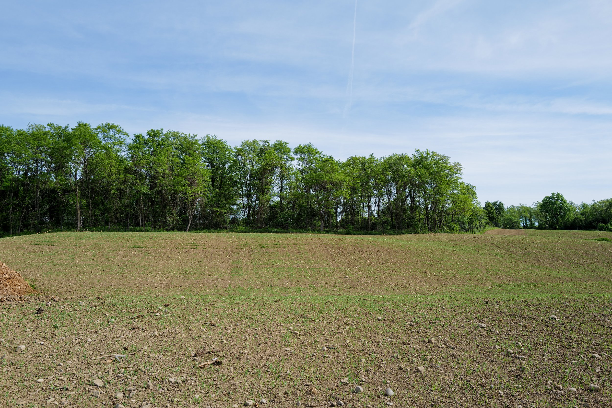 Cover Crops