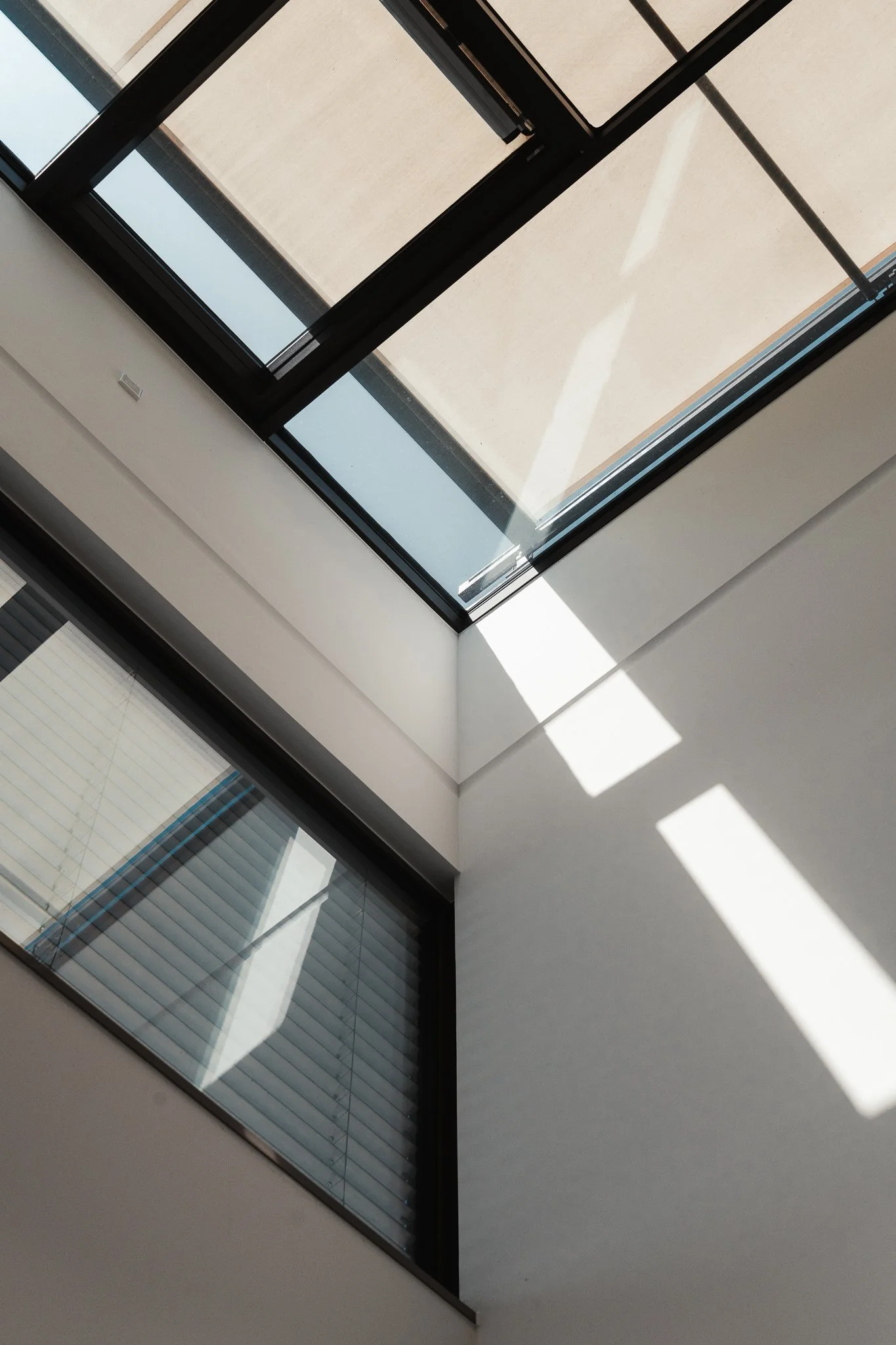 26_08_LUXHAUS-1.jpg