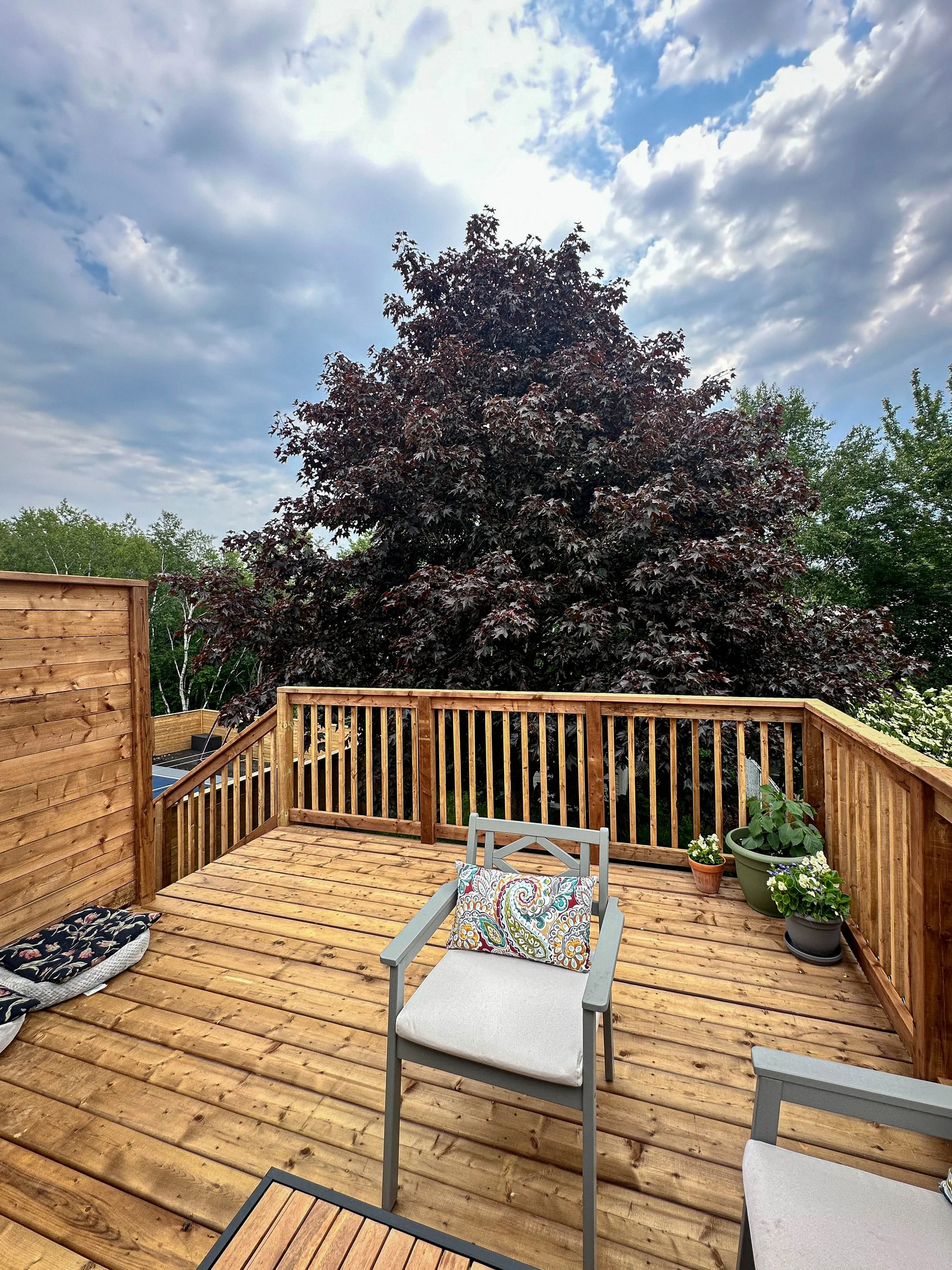 A freshly built cedar deck designed for outdoor living, featuring a raised platform, full railing, and a tall privacy wall for added seclusion. The space was finished with room for lounge seating and dining, creating a private retreat surrounded by m