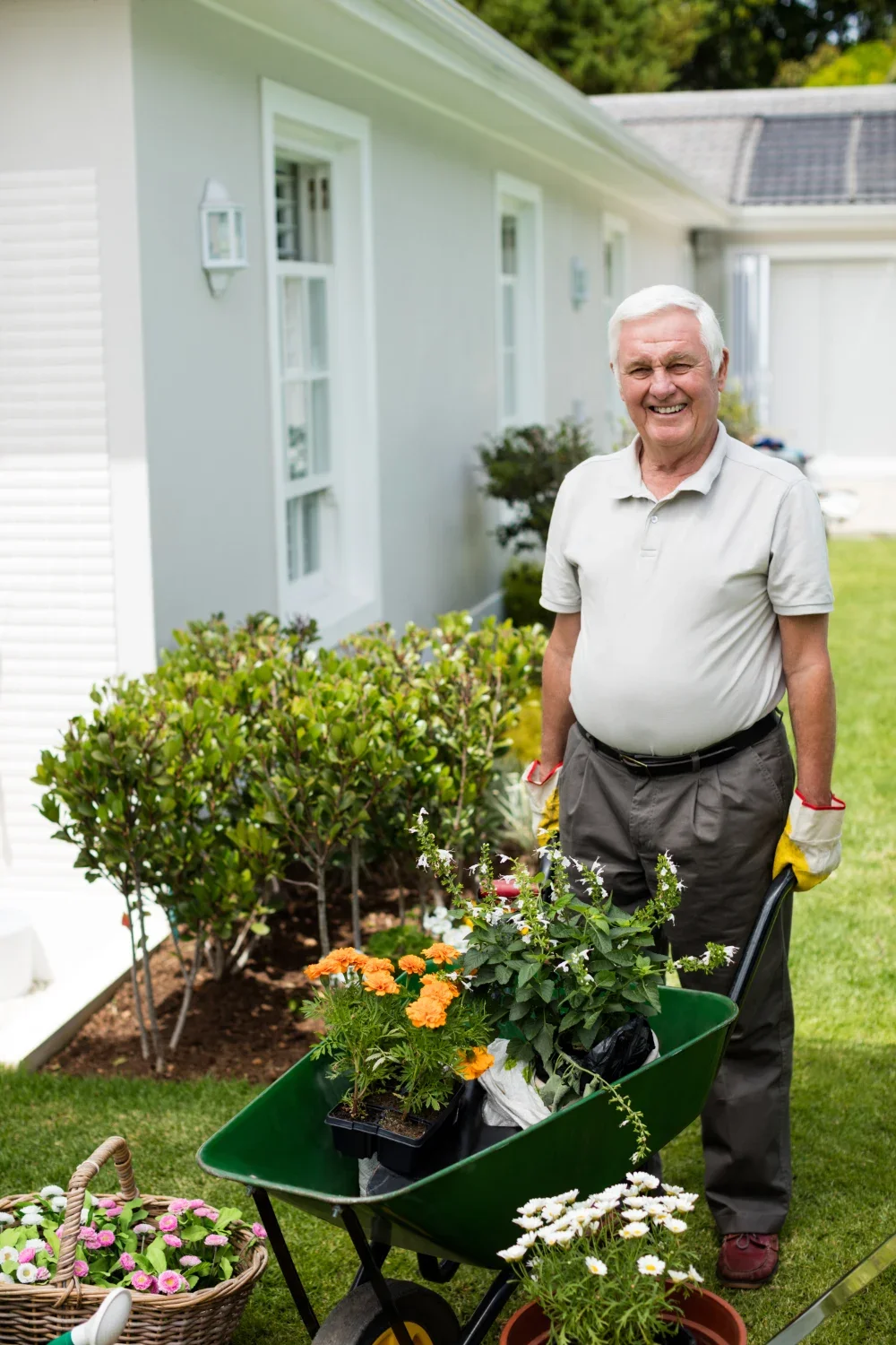 An elderly man pushing a green wheelbarrow in a garden