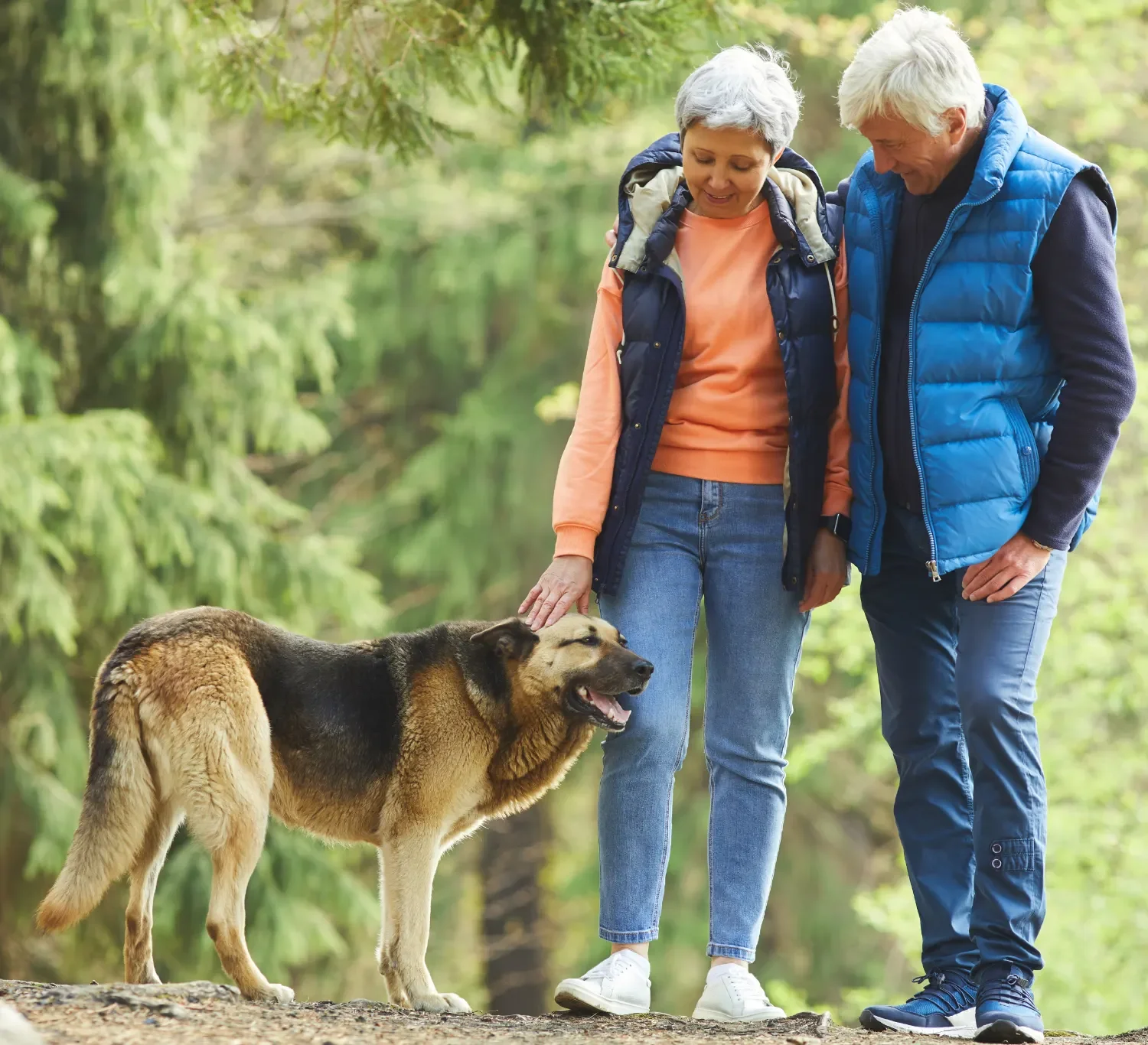 An elderly couple and their dog standing in a forested area on a trail