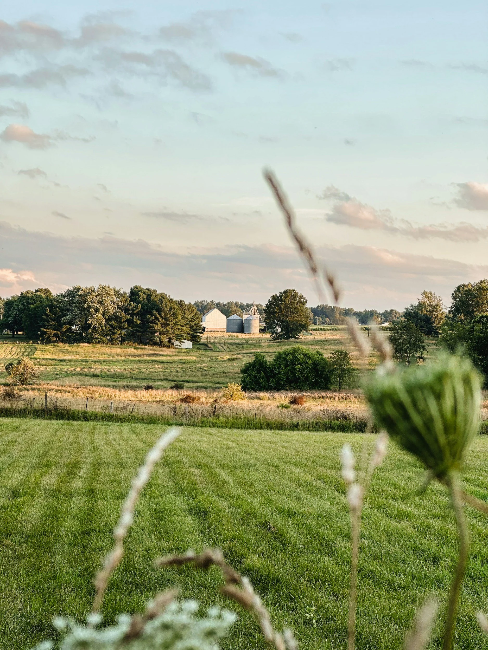 Green fields and a farmhouse in the Central Ohio countryside
